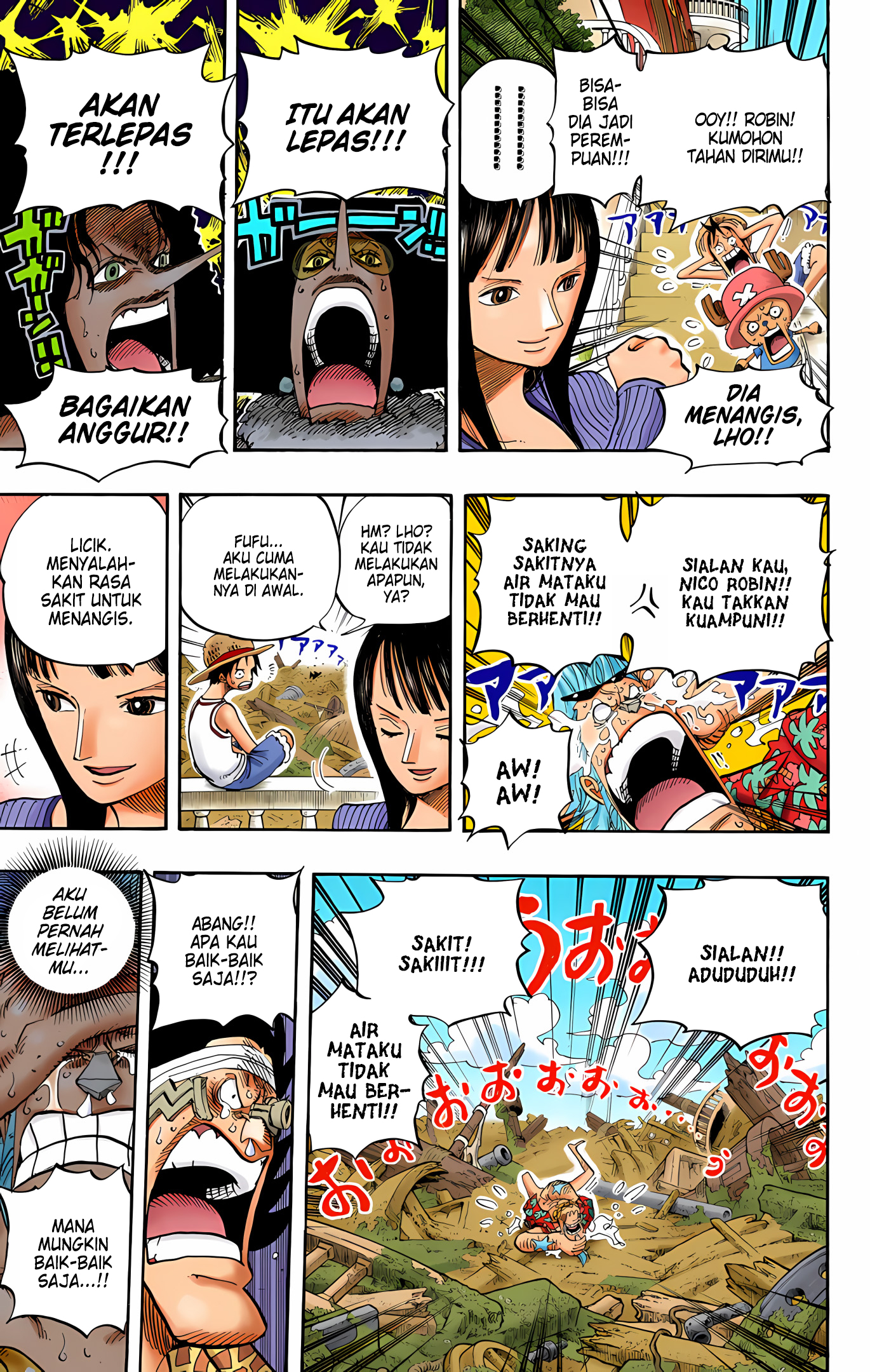 One Piece (Official Colored) Chapter 437 - halaman 13