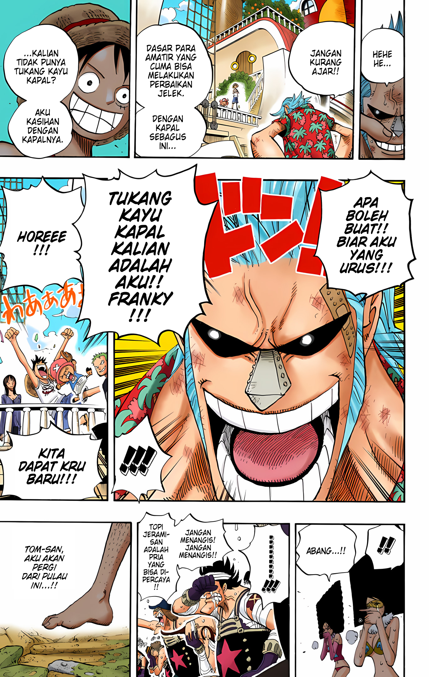 One Piece (Official Colored) Chapter 437 - halaman 17