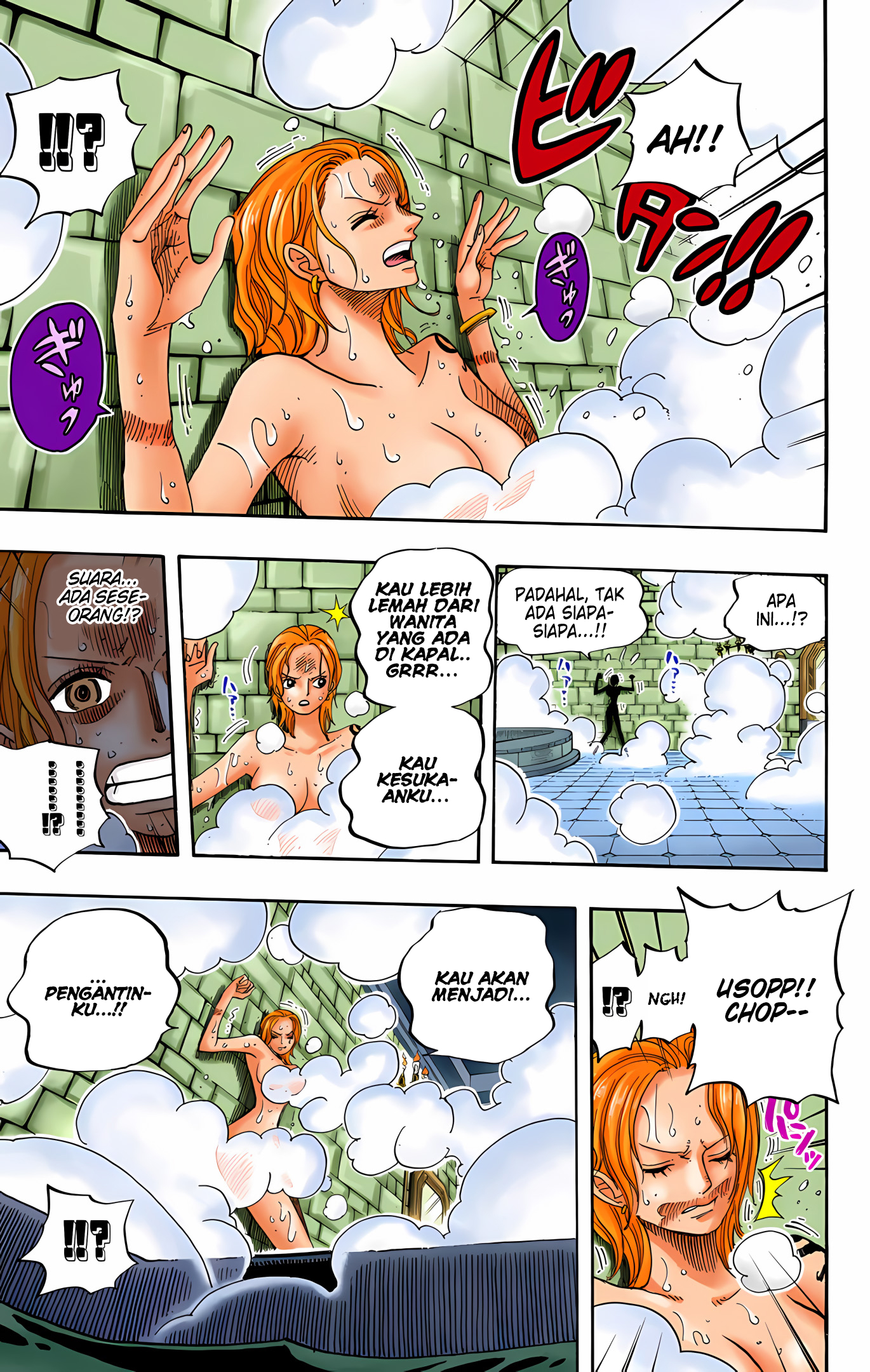 One Piece (Official Colored) Chapter 446 - halaman 15