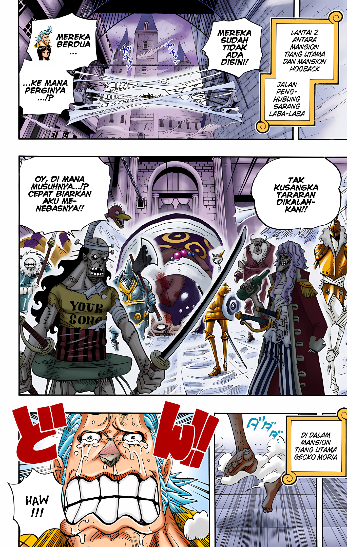 One Piece (Official Colored) Chapter 456 - halaman 14