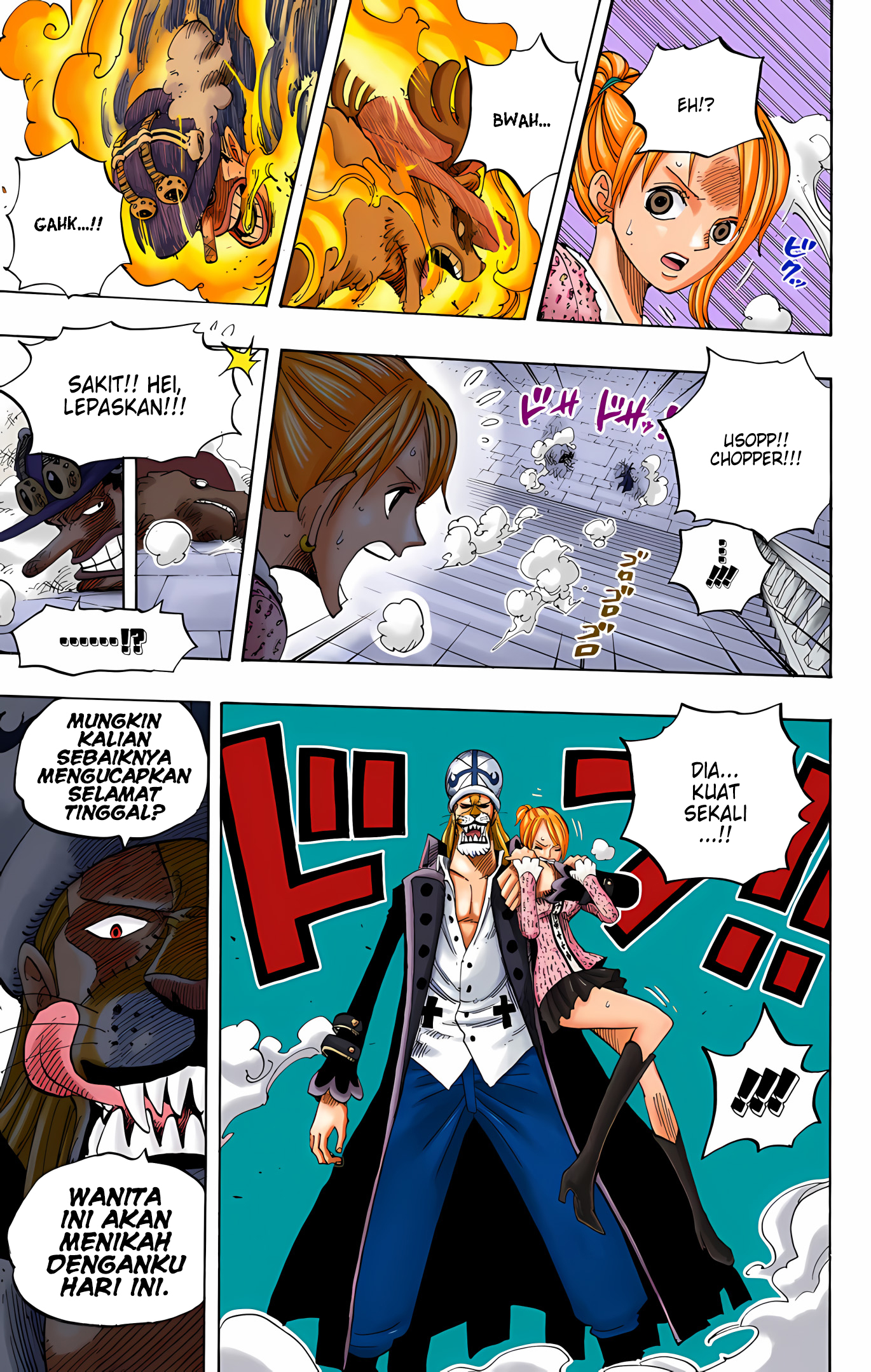 One Piece (Official Colored) Chapter 457 - halaman 15