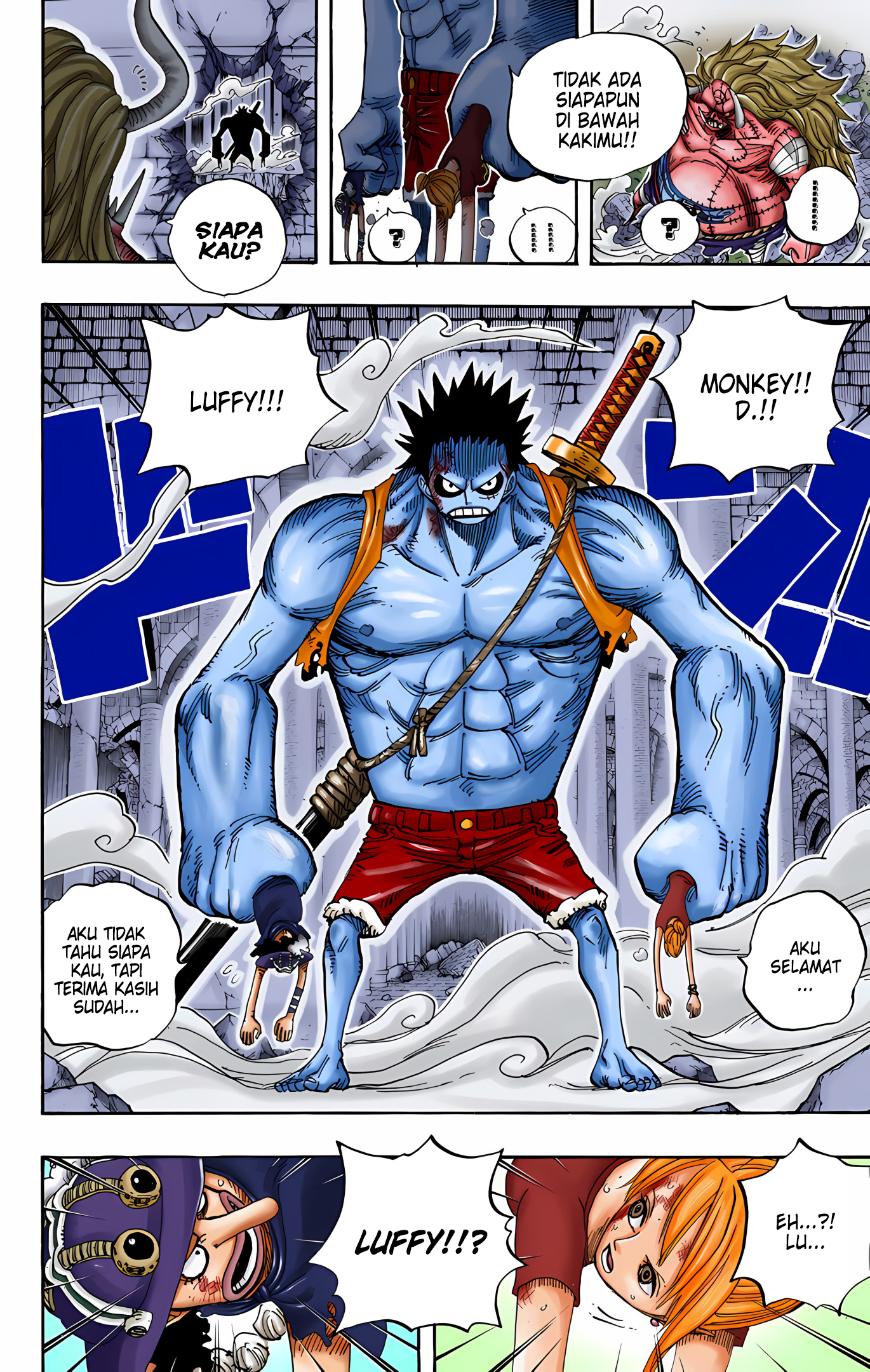 One Piece (Official Colored) Chapter 478 - halaman 11