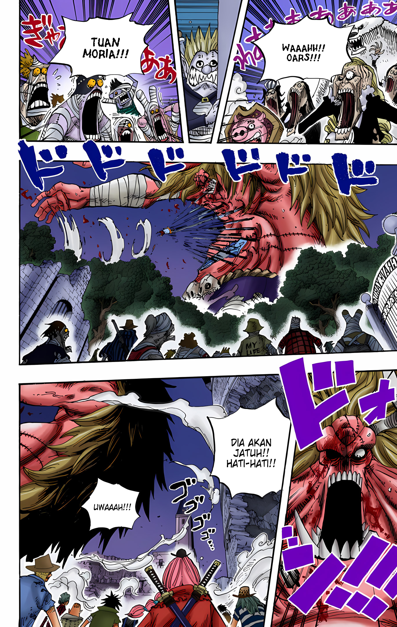 One Piece (Official Colored) Chapter 479 - halaman 13