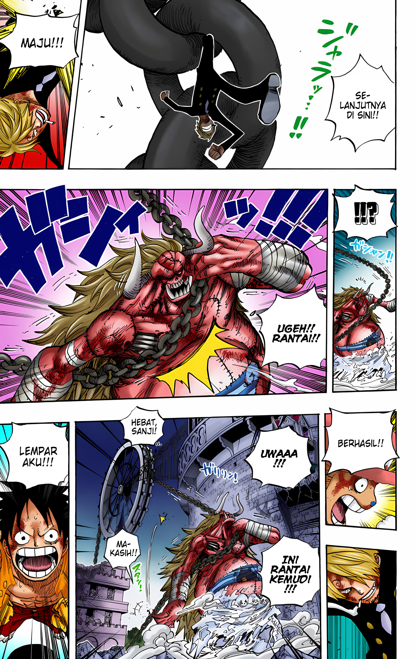One Piece (Official Colored) Chapter 480 - halaman 12