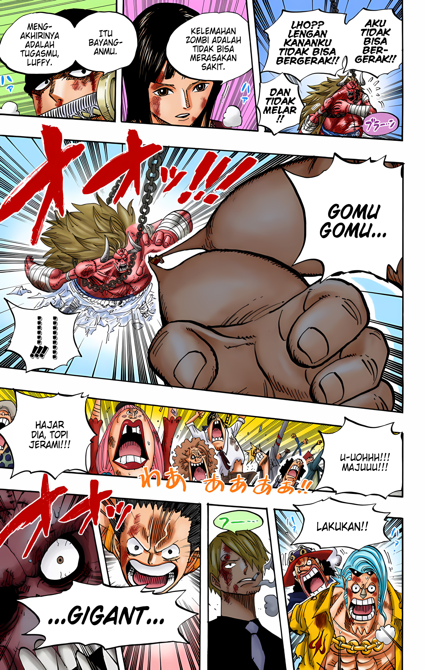 One Piece (Official Colored) Chapter 480 - halaman 16