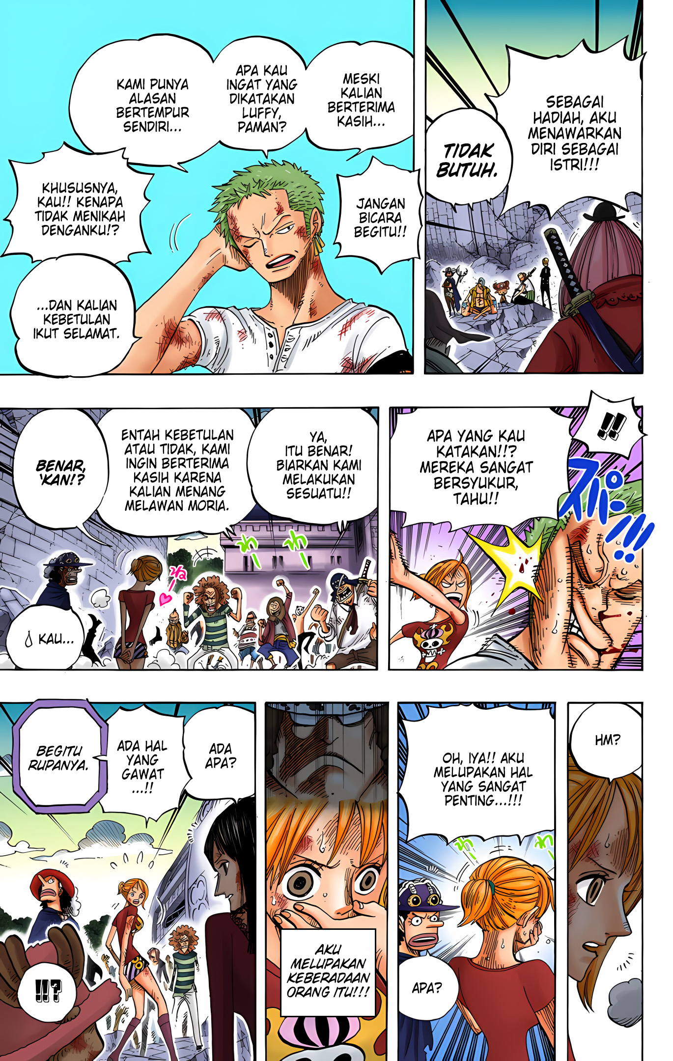 One Piece (Official Colored) Chapter 483 - halaman 13