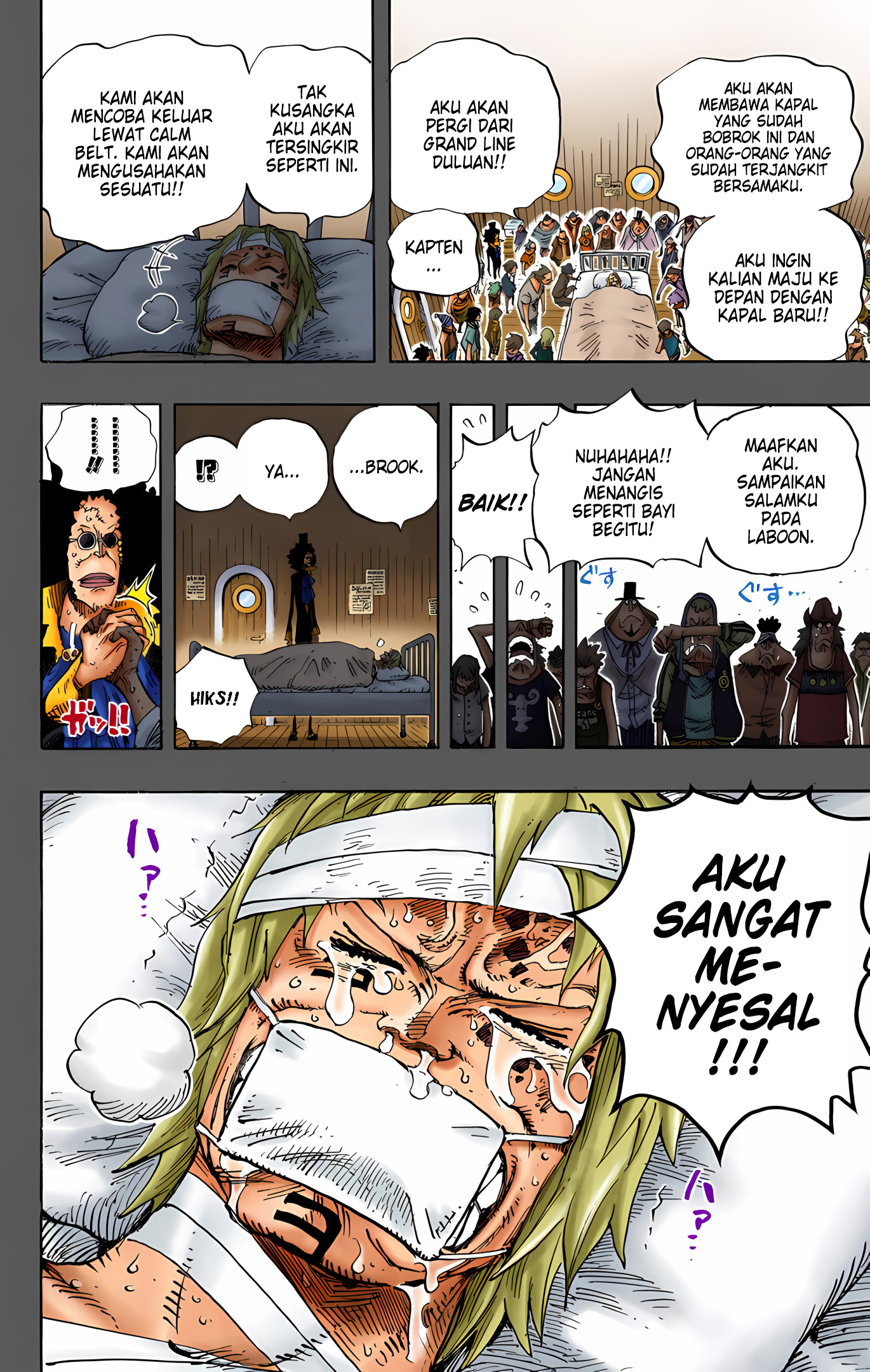 One Piece (Official Colored) Chapter 487 - halaman 18
