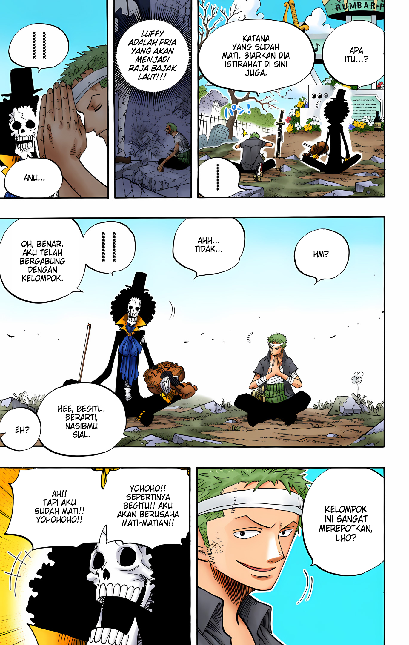 One Piece (Official Colored) Chapter 489 - halaman 13