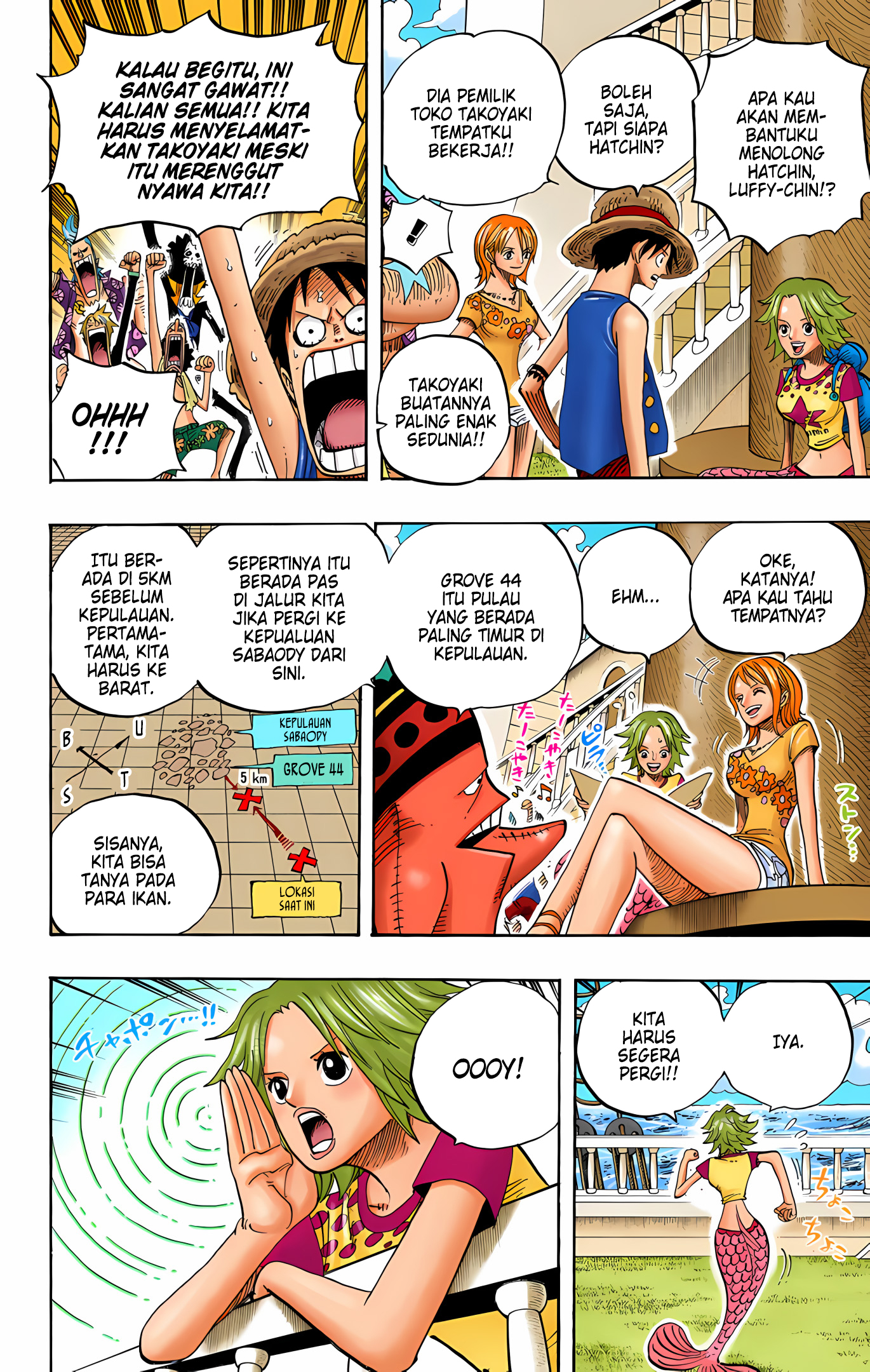 One Piece (Official Colored) Chapter 491 - halaman 10