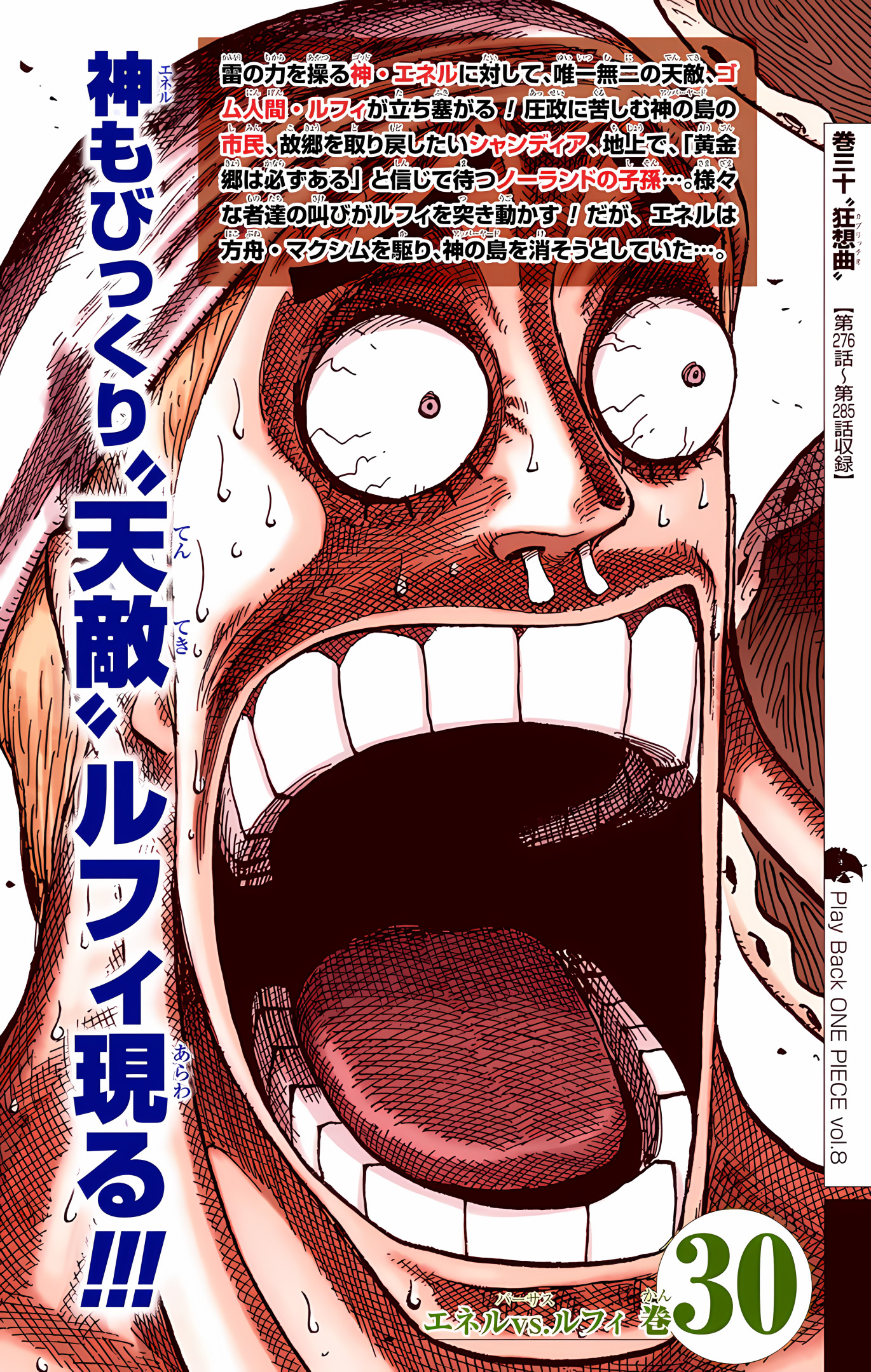 One Piece (Official Colored) Chapter 491 - halaman 28