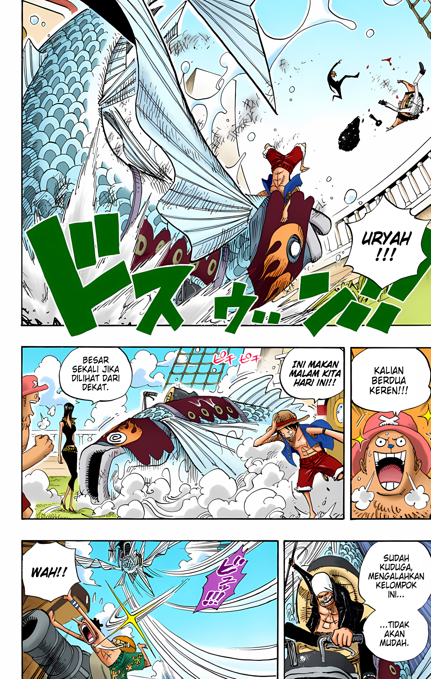 One Piece (Official Colored) Chapter 493 - halaman 14