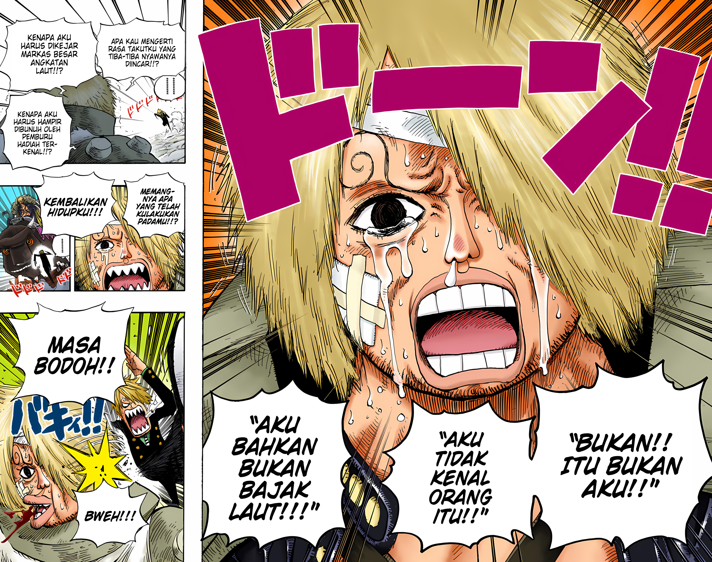 One Piece (Official Colored) Chapter 494 - halaman 18