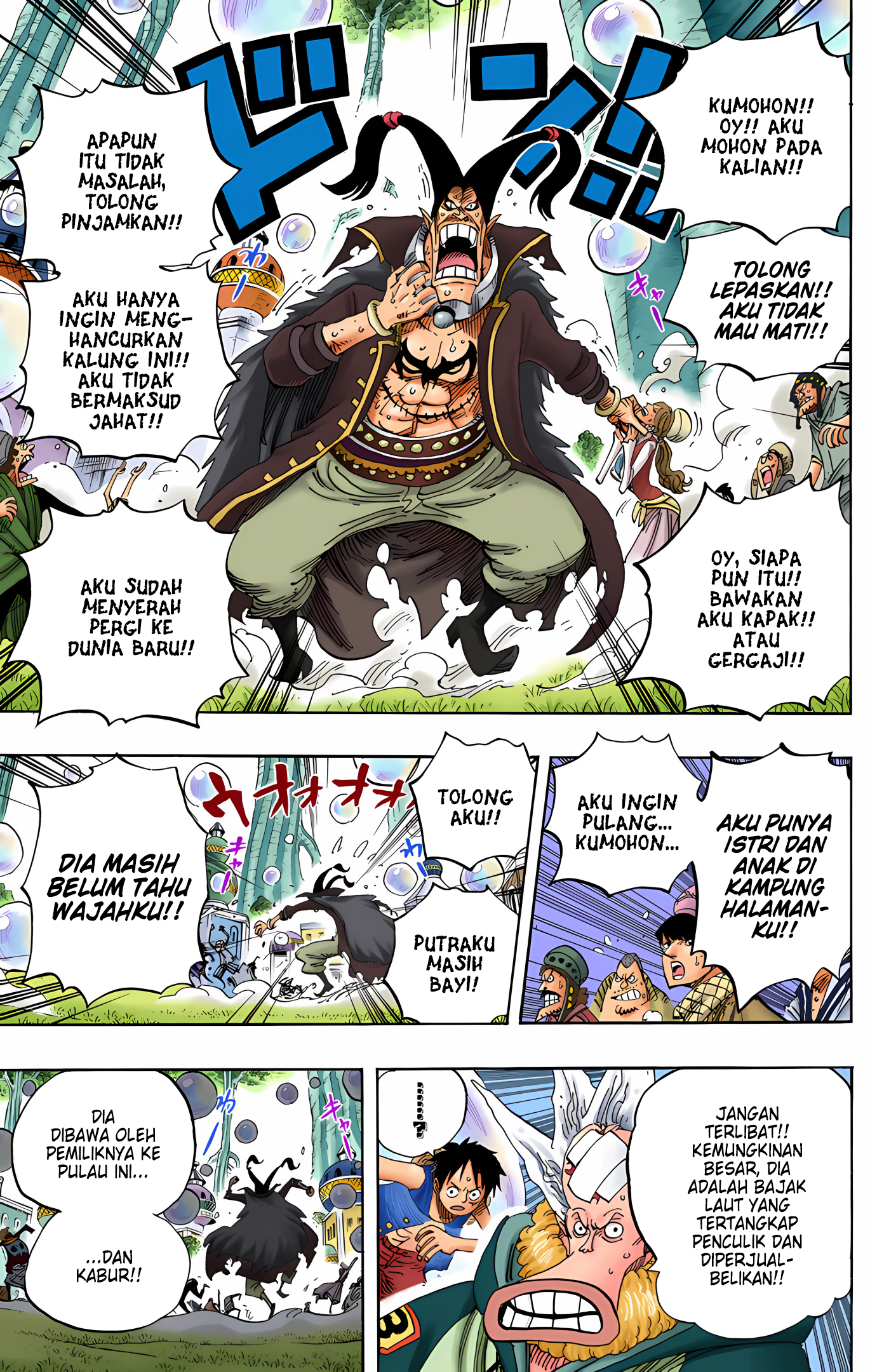 One Piece (Official Colored) Chapter 497 - halaman 13