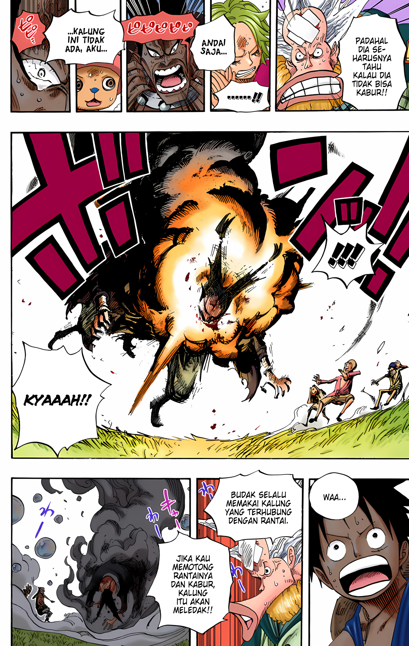 One Piece (Official Colored) Chapter 497 - halaman 14