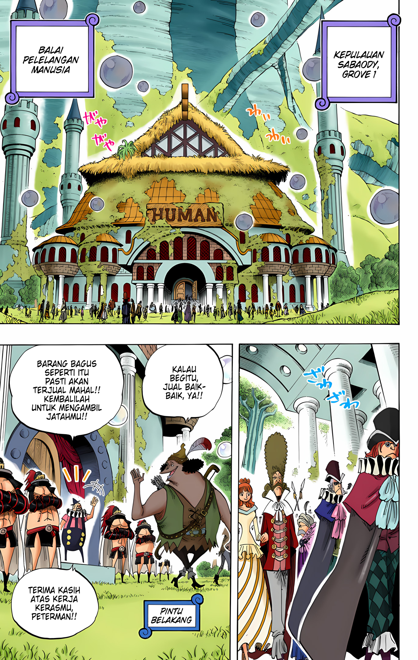 One Piece (Official Colored) Chapter 500 - halaman 13