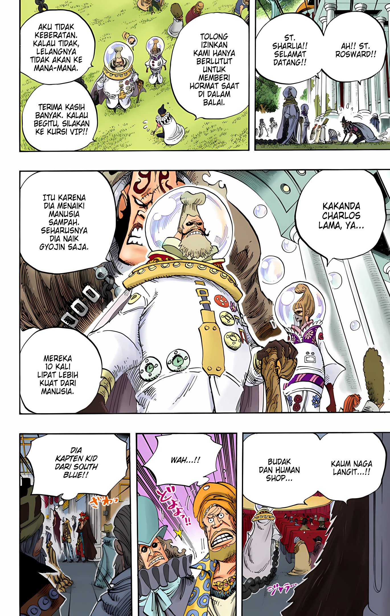 One Piece (Official Colored) Chapter 500 - halaman 14