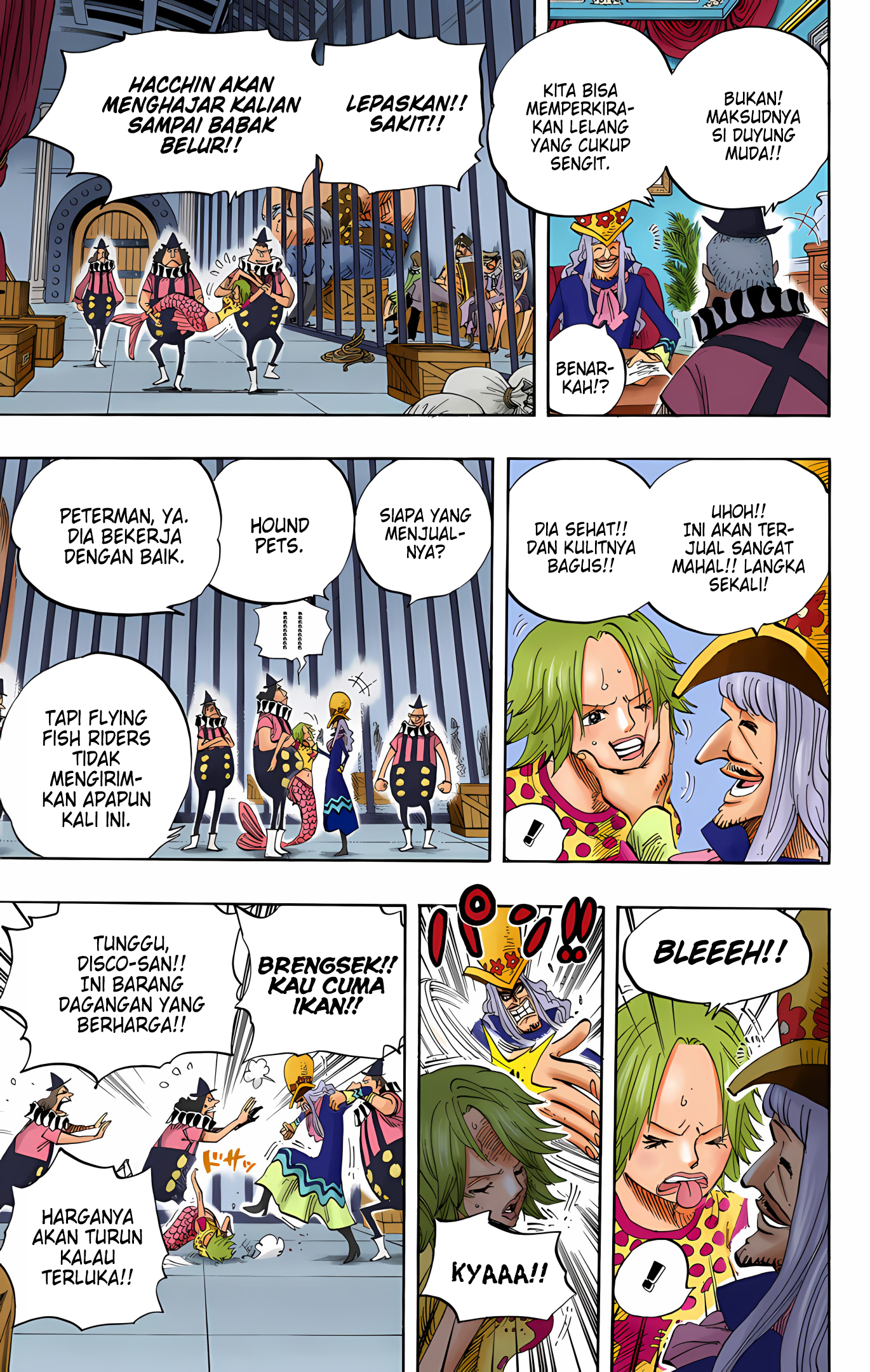 One Piece (Official Colored) Chapter 500 - halaman 17