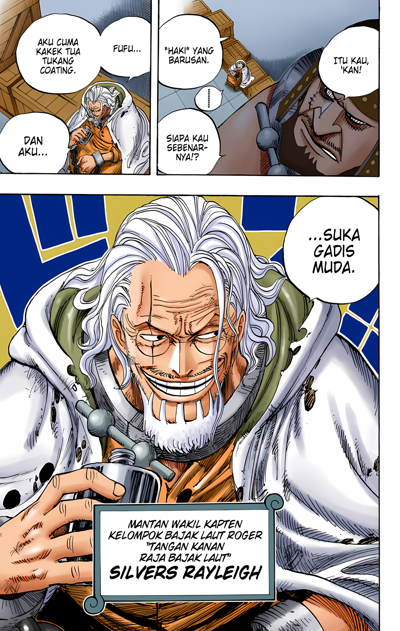 One Piece (Official Colored) Chapter 500 - halaman 19