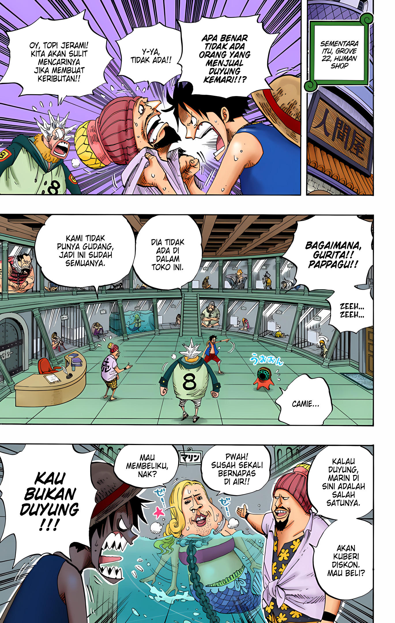 One Piece (Official Colored) Chapter 500 - halaman 7
