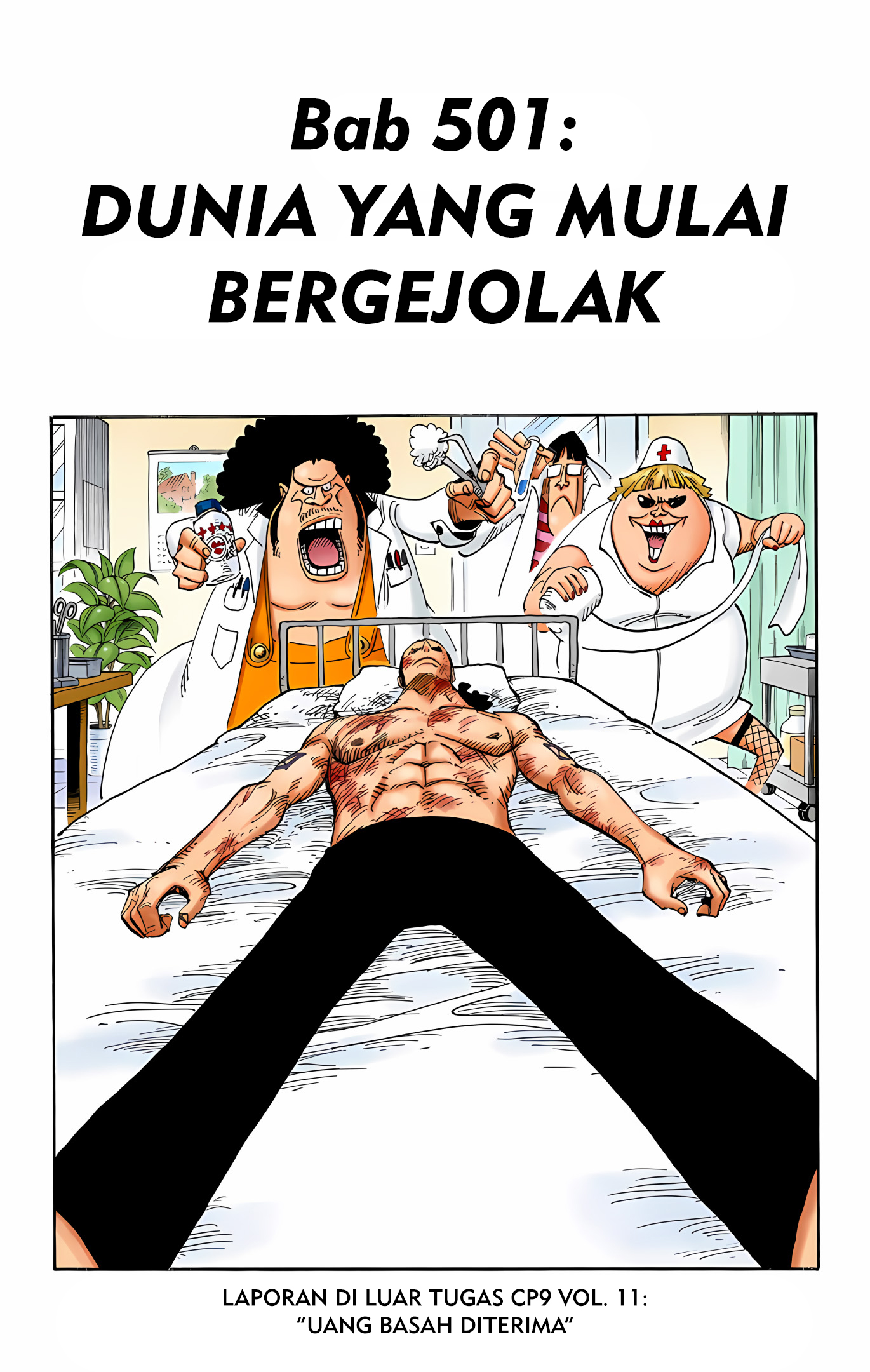 One Piece (Official Colored) Chapter 501 - halaman 1