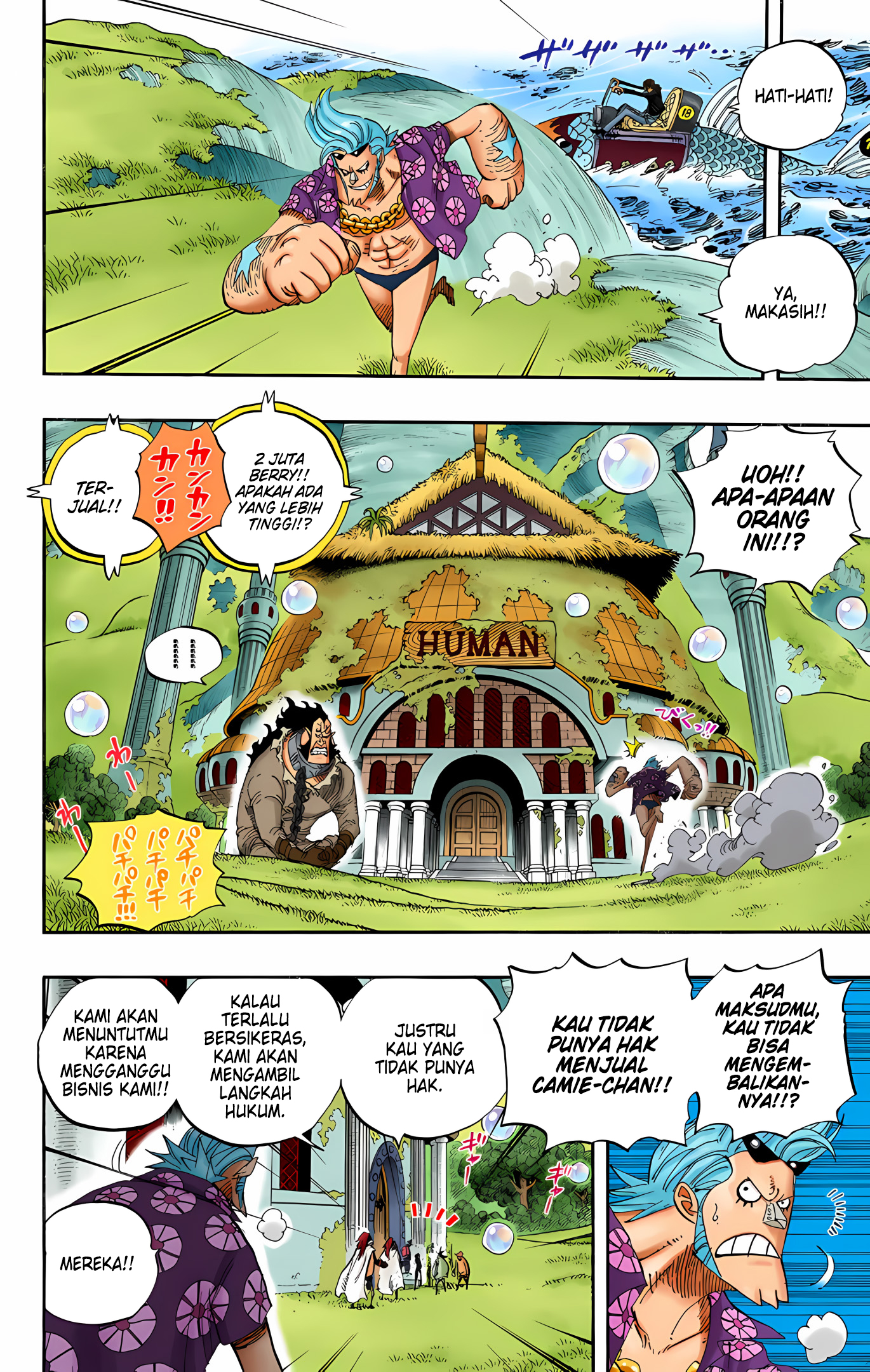 One Piece (Official Colored) Chapter 501 - halaman 11