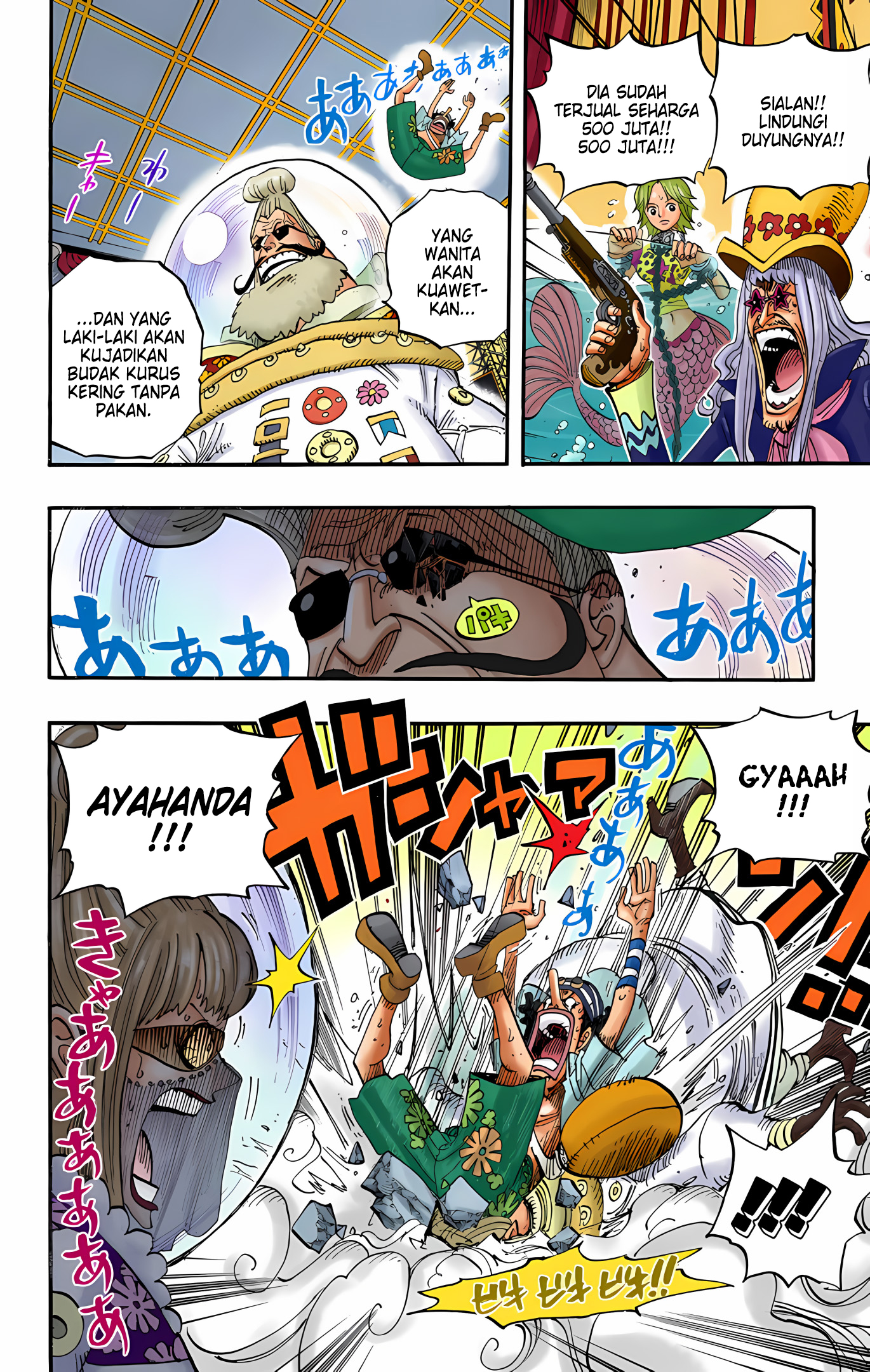 One Piece (Official Colored) Chapter 503 - halaman 17