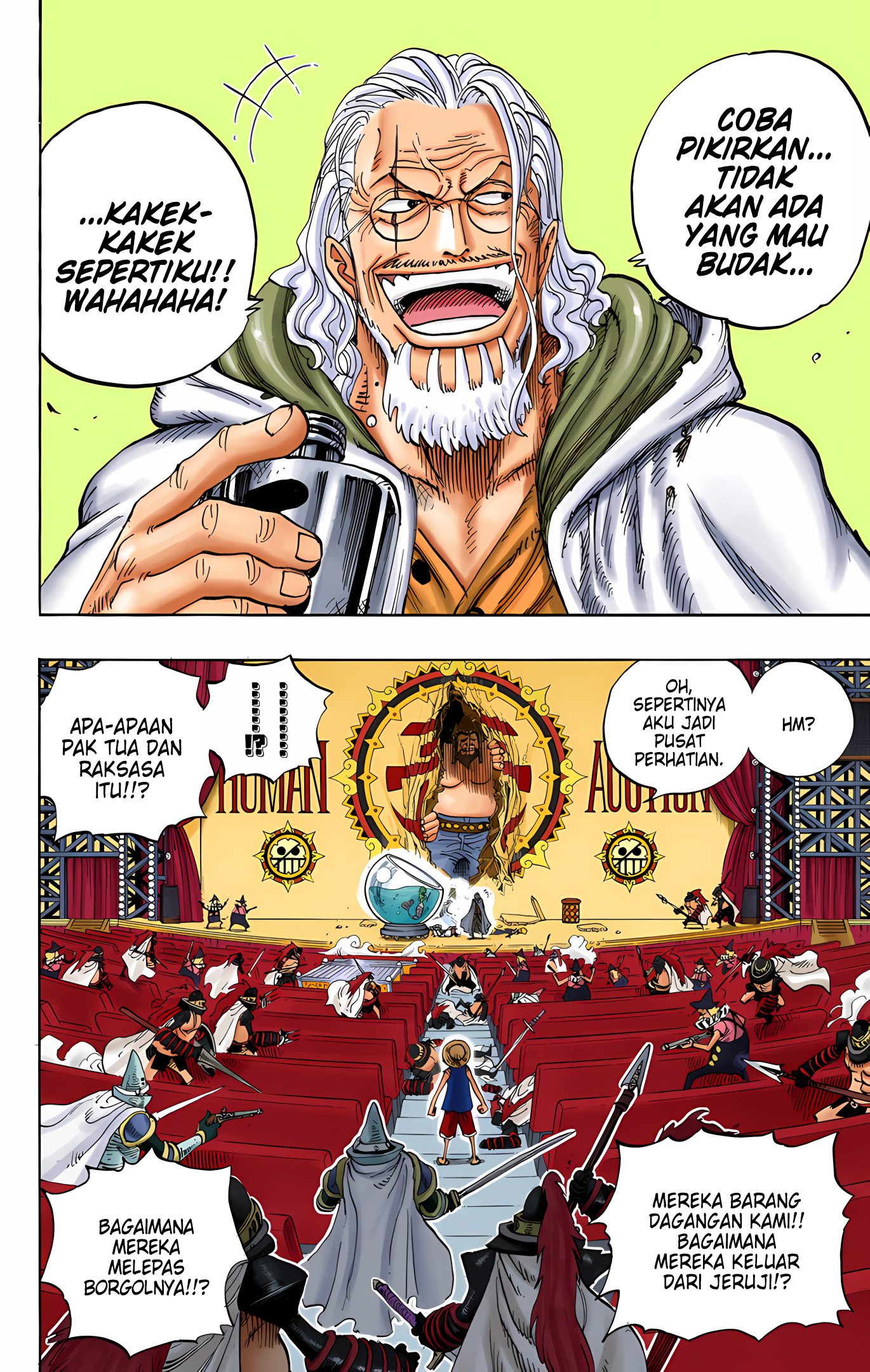 One Piece (Official Colored) Chapter 503 - halaman 21