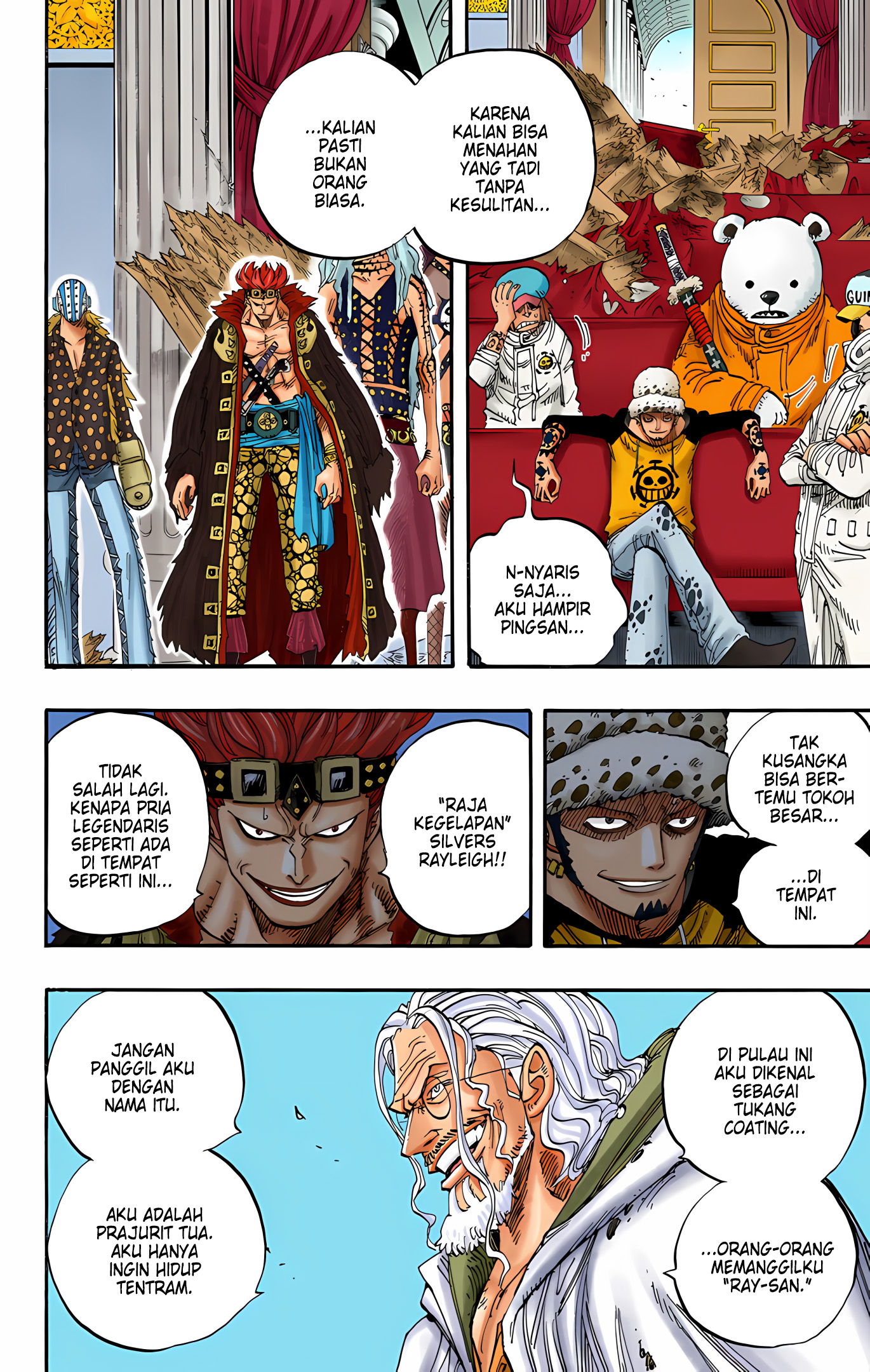 One Piece (Official Colored) Chapter 504 - halaman 12