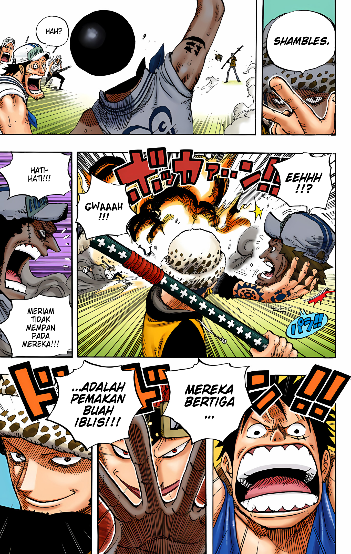 One Piece (Official Colored) Chapter 504 - halaman 19