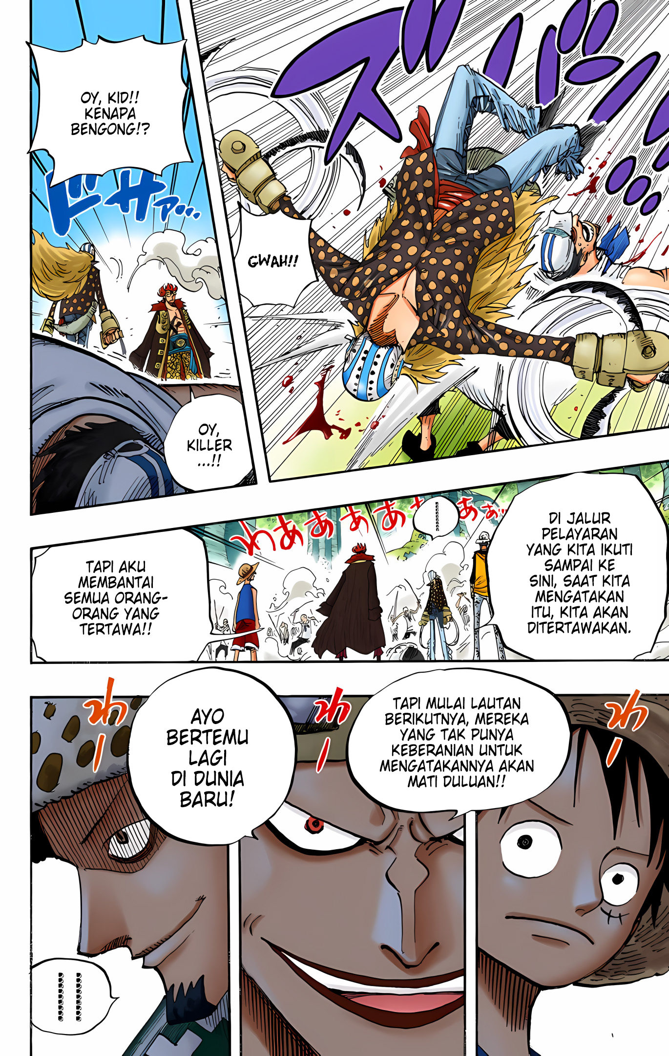 One Piece (Official Colored) Chapter 505 - halaman 11