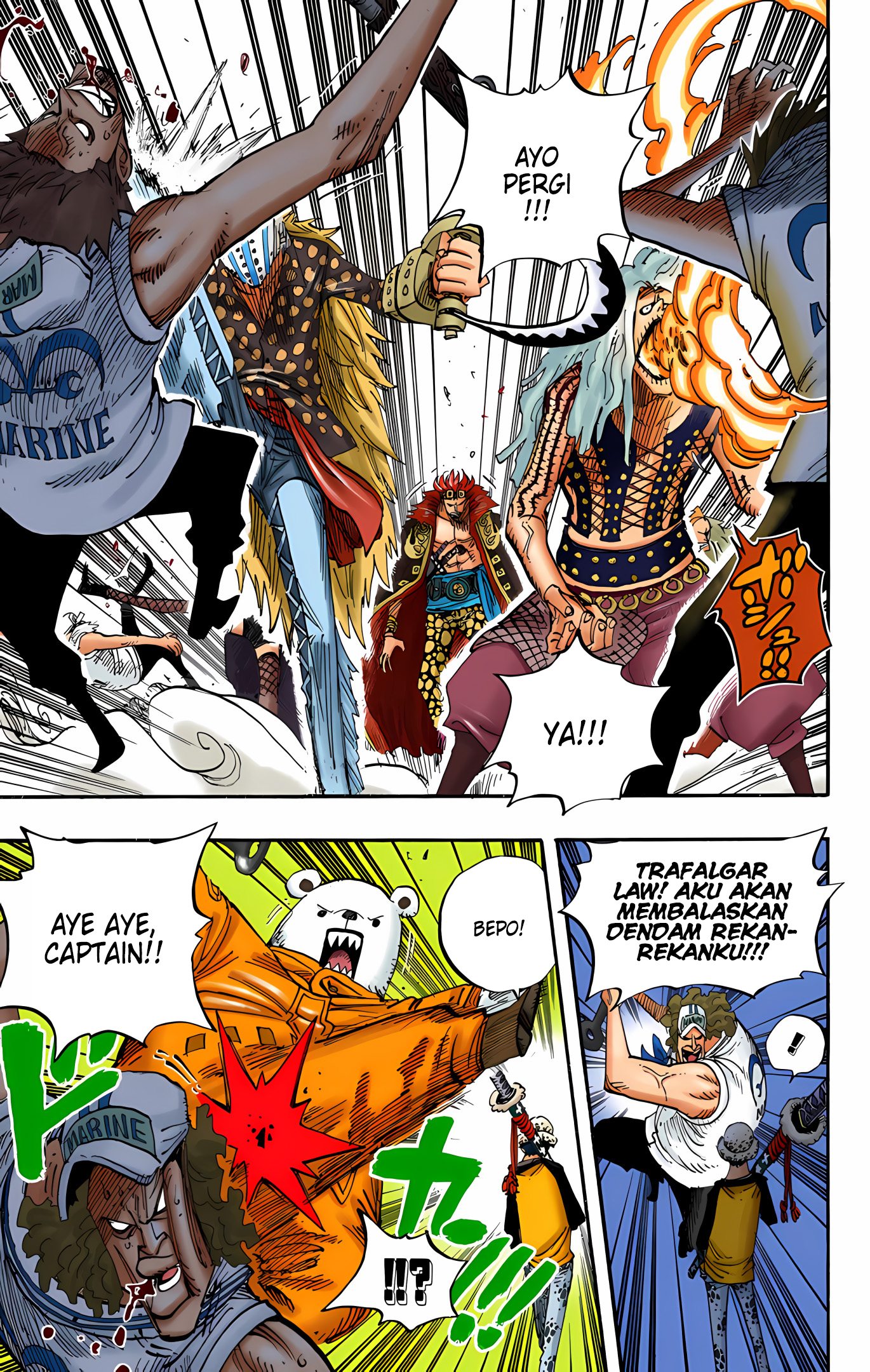 One Piece (Official Colored) Chapter 505 - halaman 12