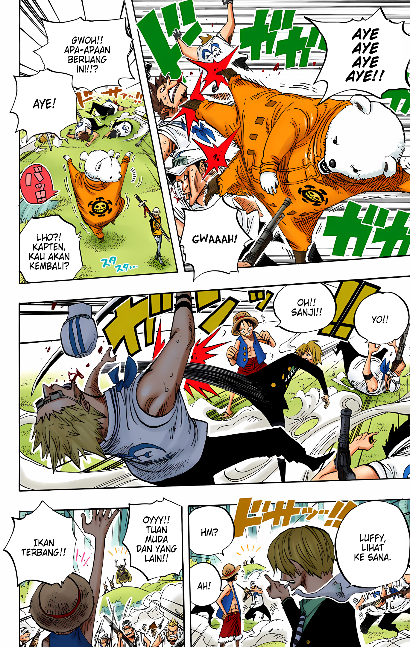 One Piece (Official Colored) Chapter 505 - halaman 13