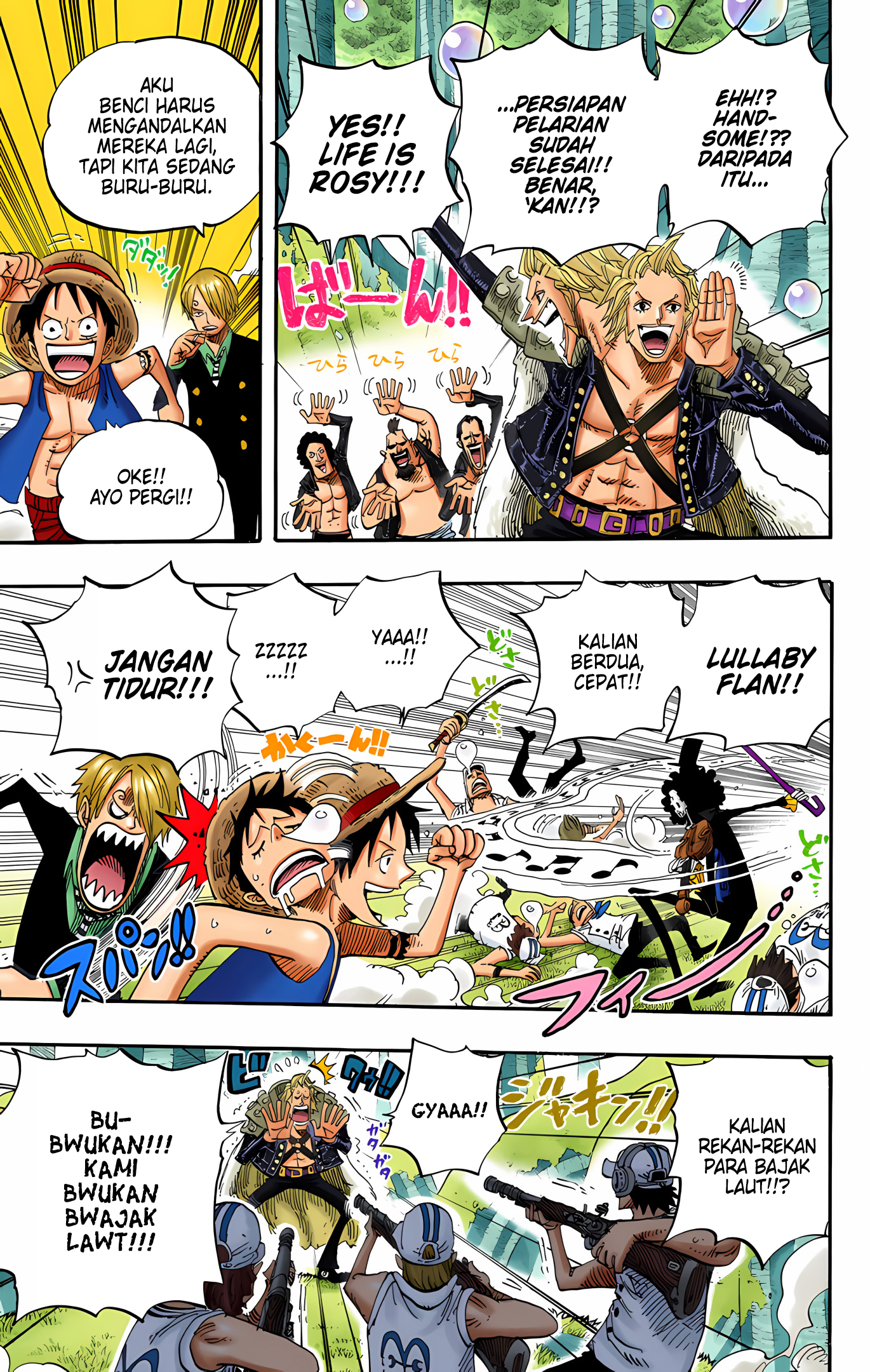 One Piece (Official Colored) Chapter 505 - halaman 14
