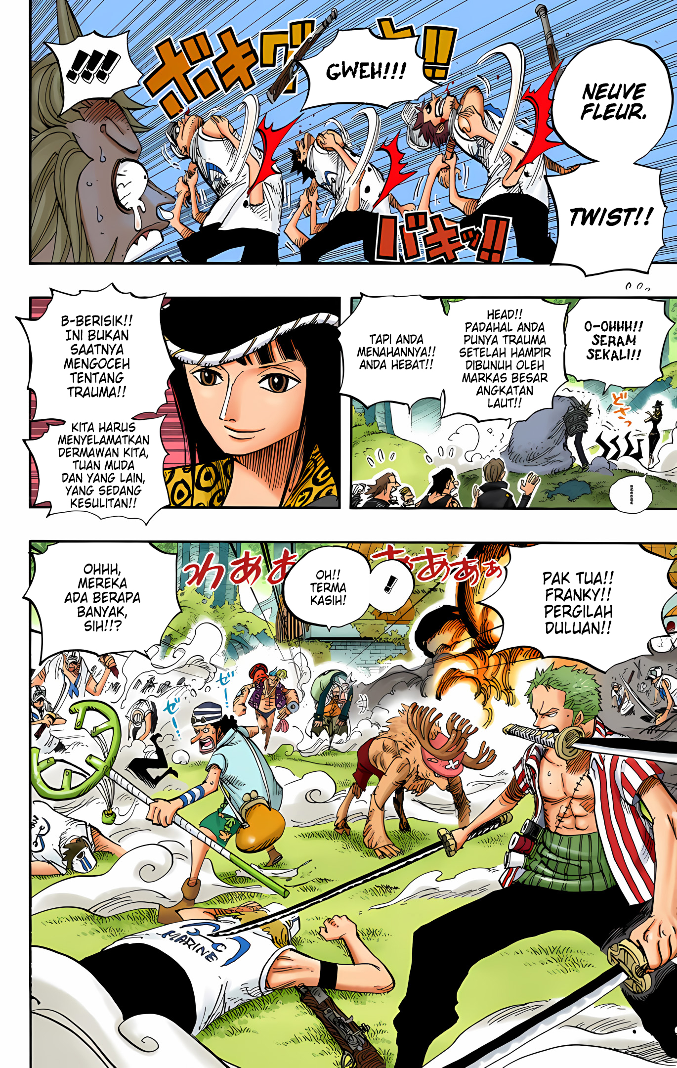 One Piece (Official Colored) Chapter 505 - halaman 15