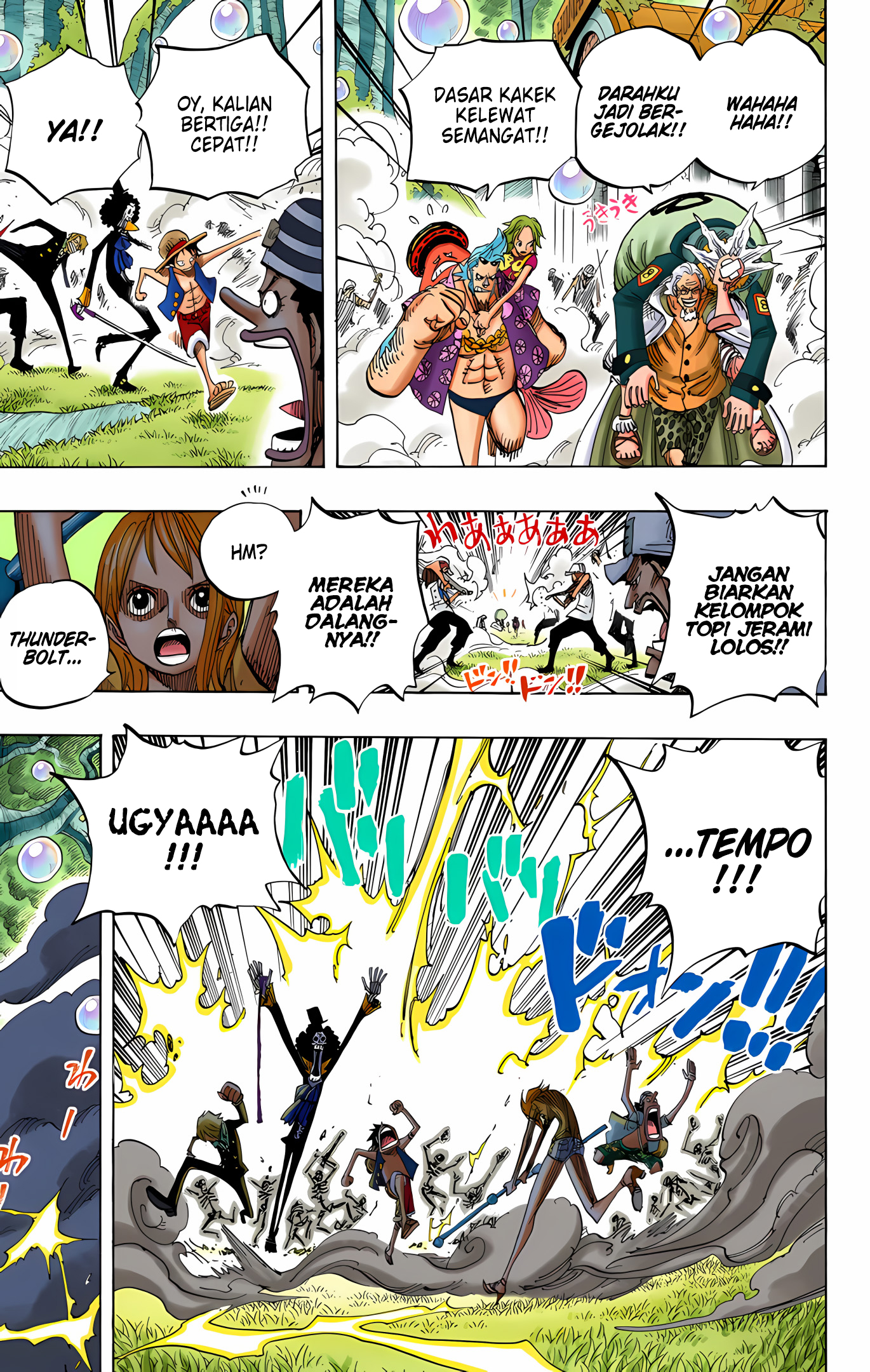 One Piece (Official Colored) Chapter 505 - halaman 16