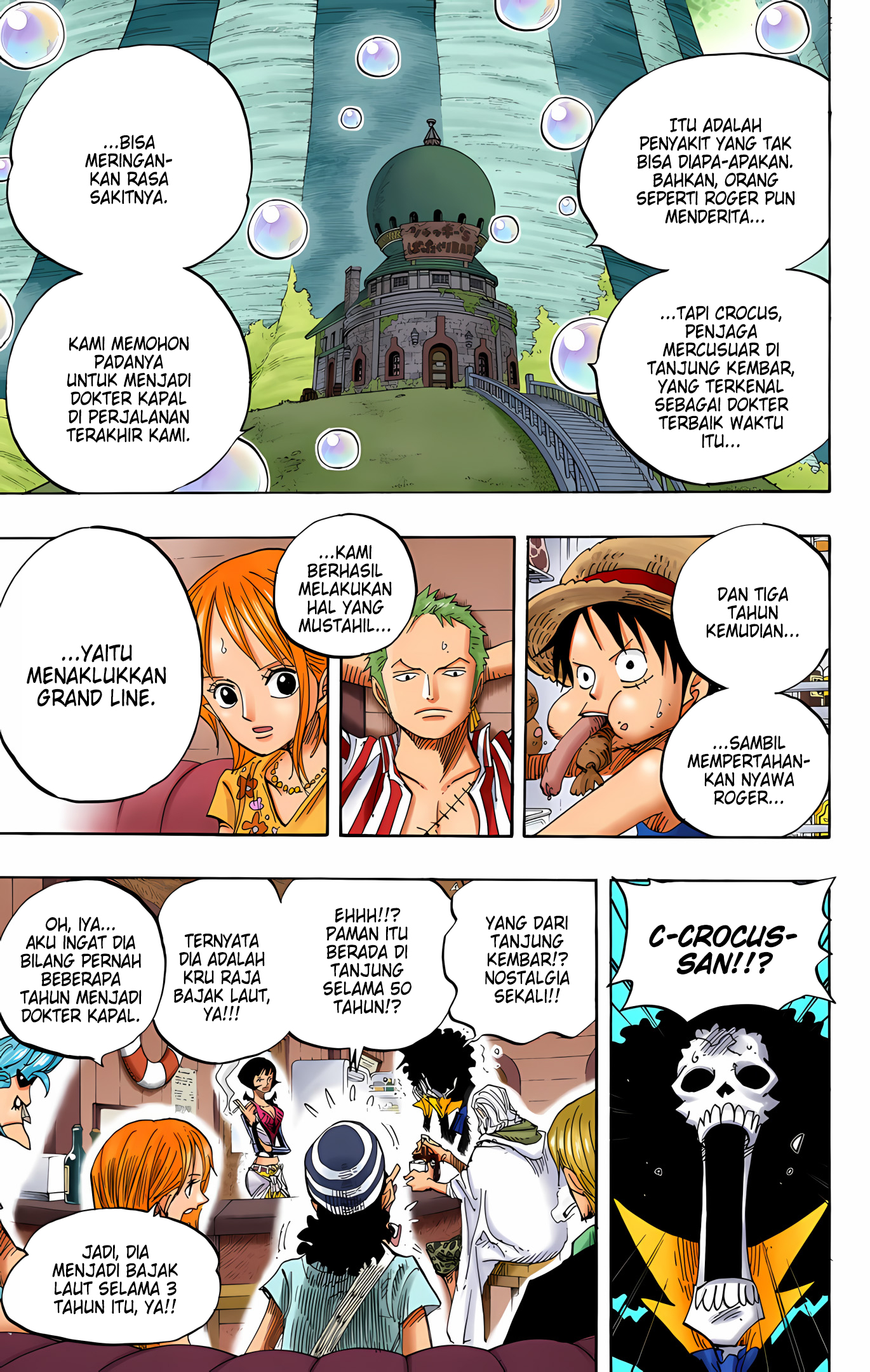 One Piece (Official Colored) Chapter 506 - halaman 11