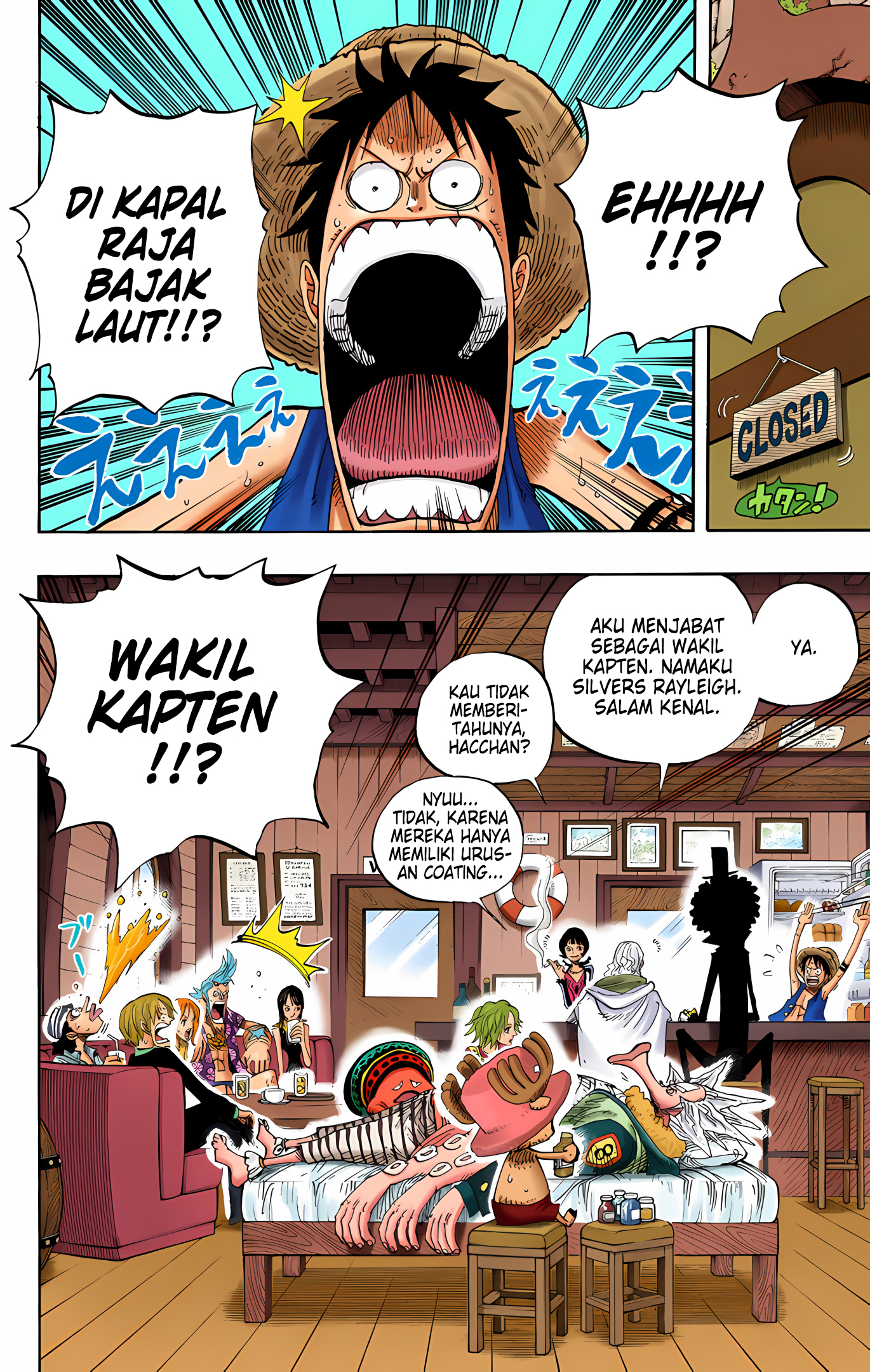 One Piece (Official Colored) Chapter 506 - halaman 8