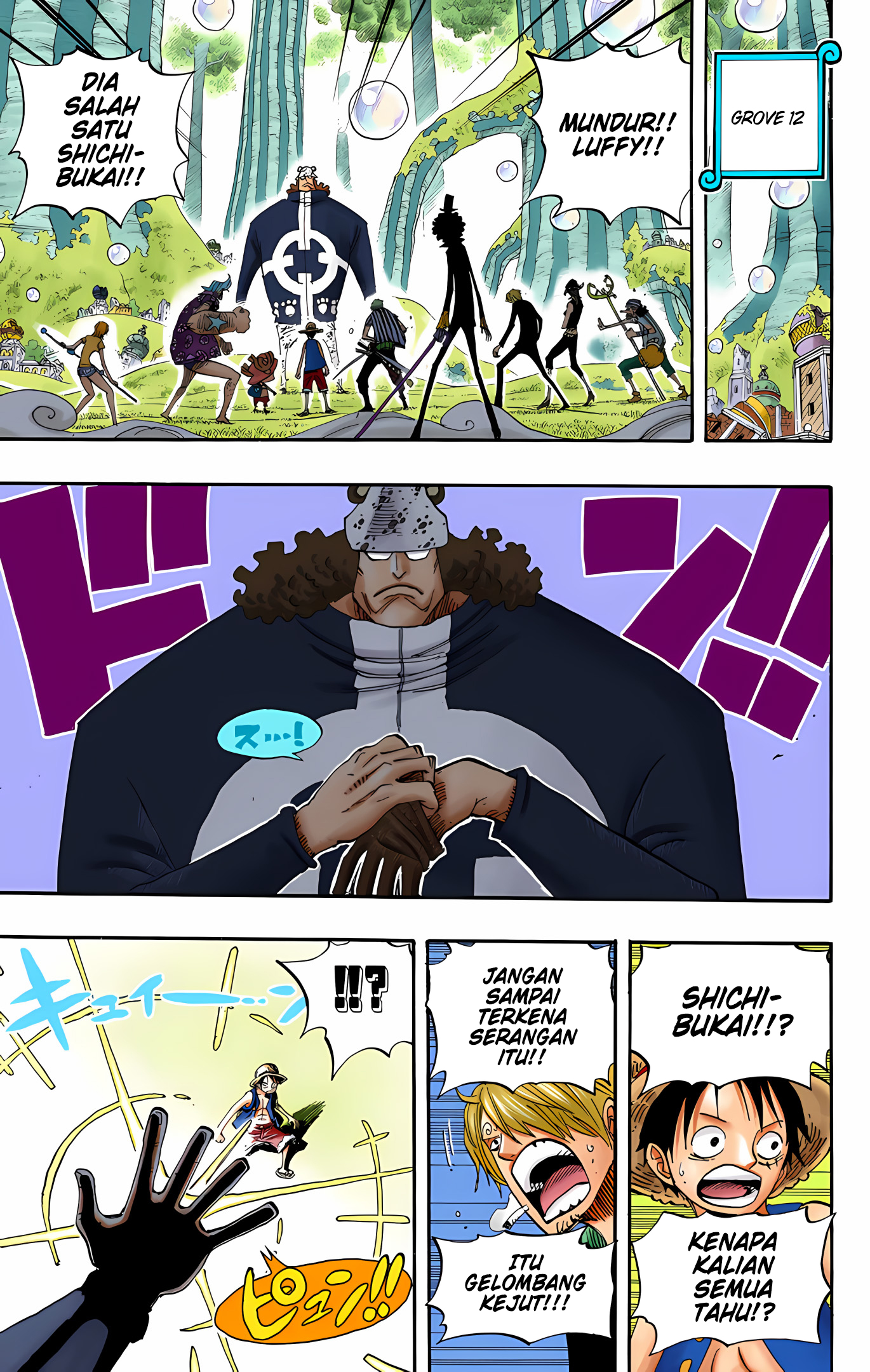 One Piece (Official Colored) Chapter 508 - halaman 15