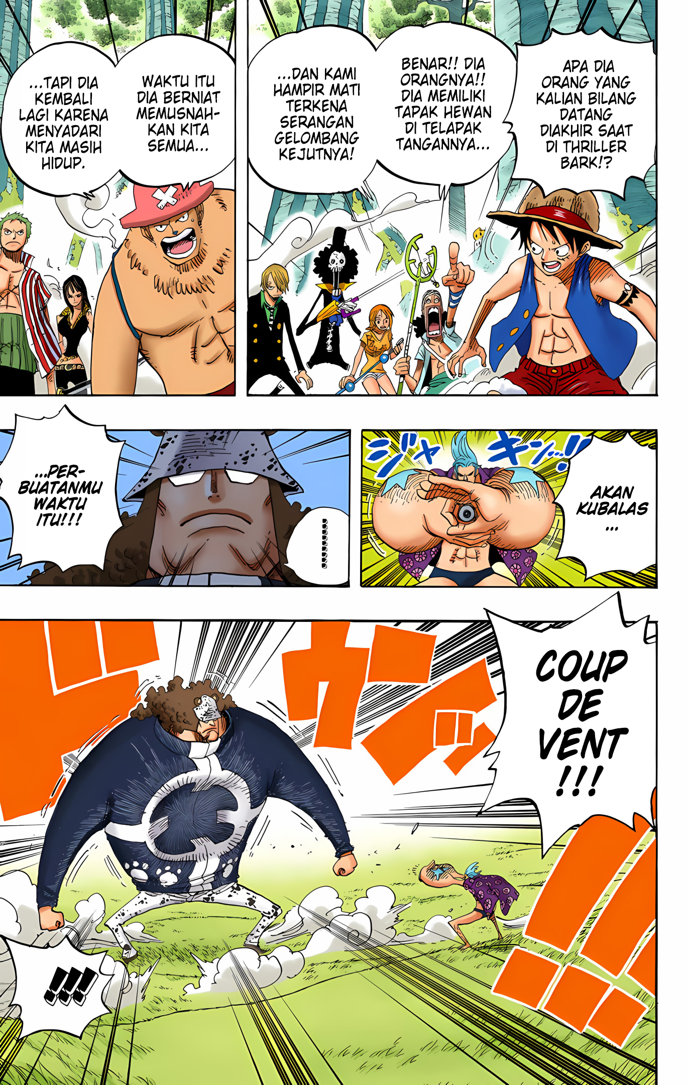 One Piece (Official Colored) Chapter 508 - halaman 17