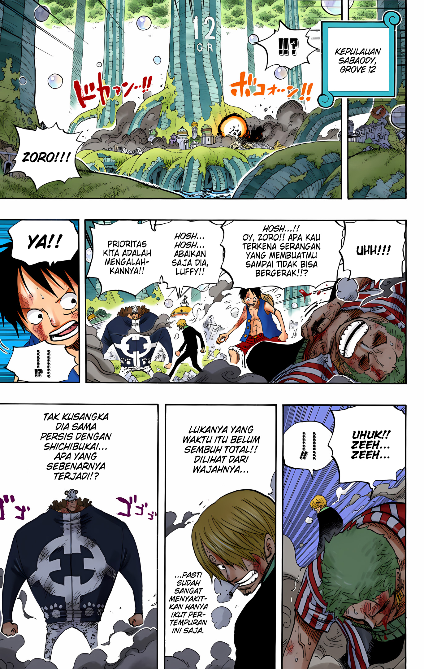 One Piece (Official Colored) Chapter 510 - halaman 9
