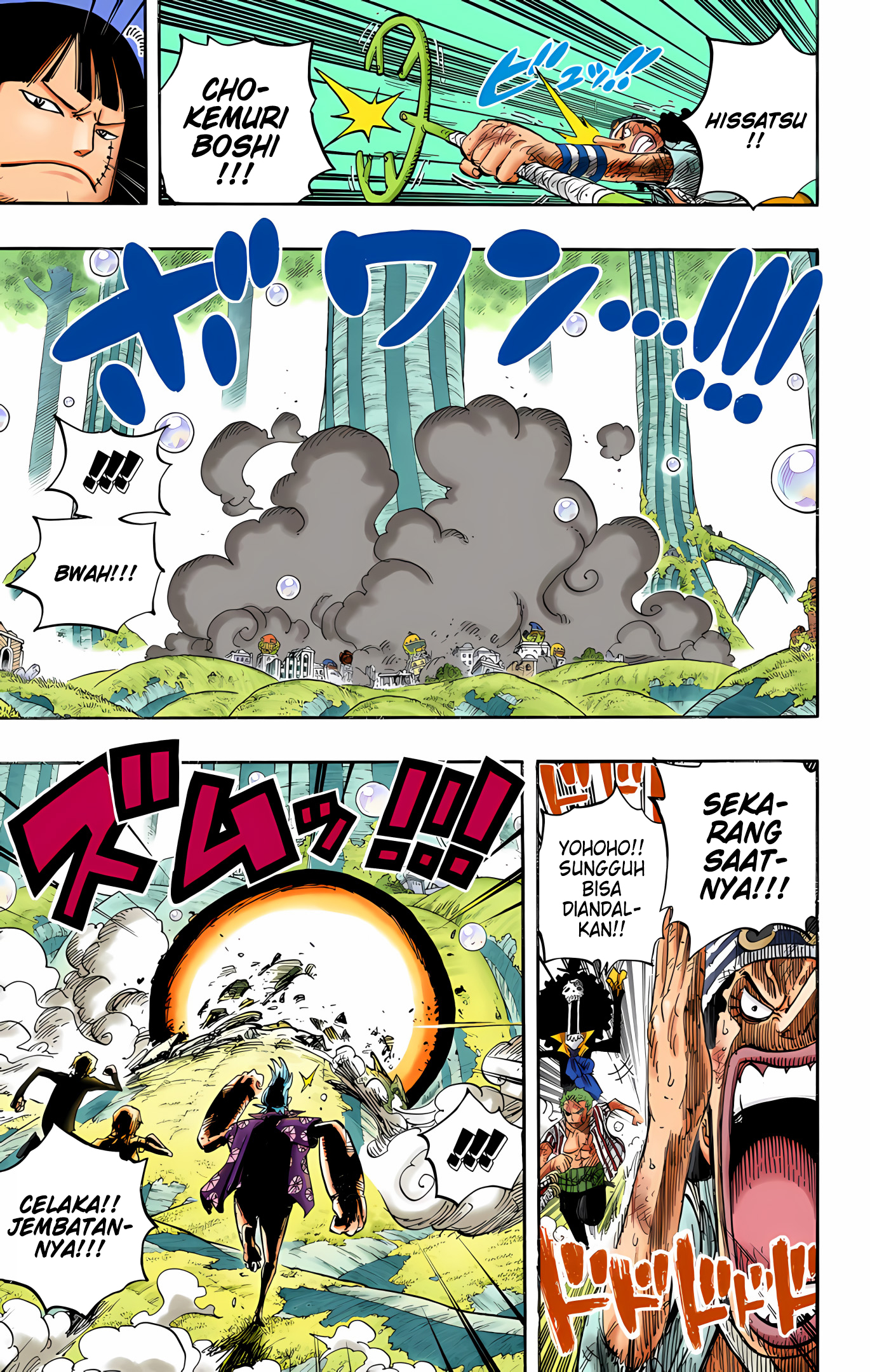 One Piece (Official Colored) Chapter 511 - halaman 10