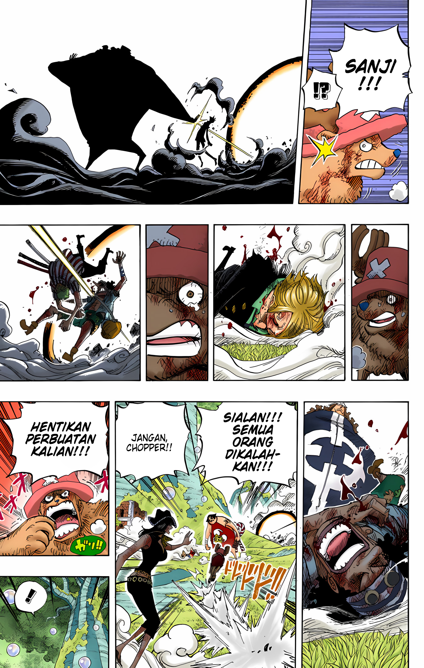 One Piece (Official Colored) Chapter 512 - halaman 14