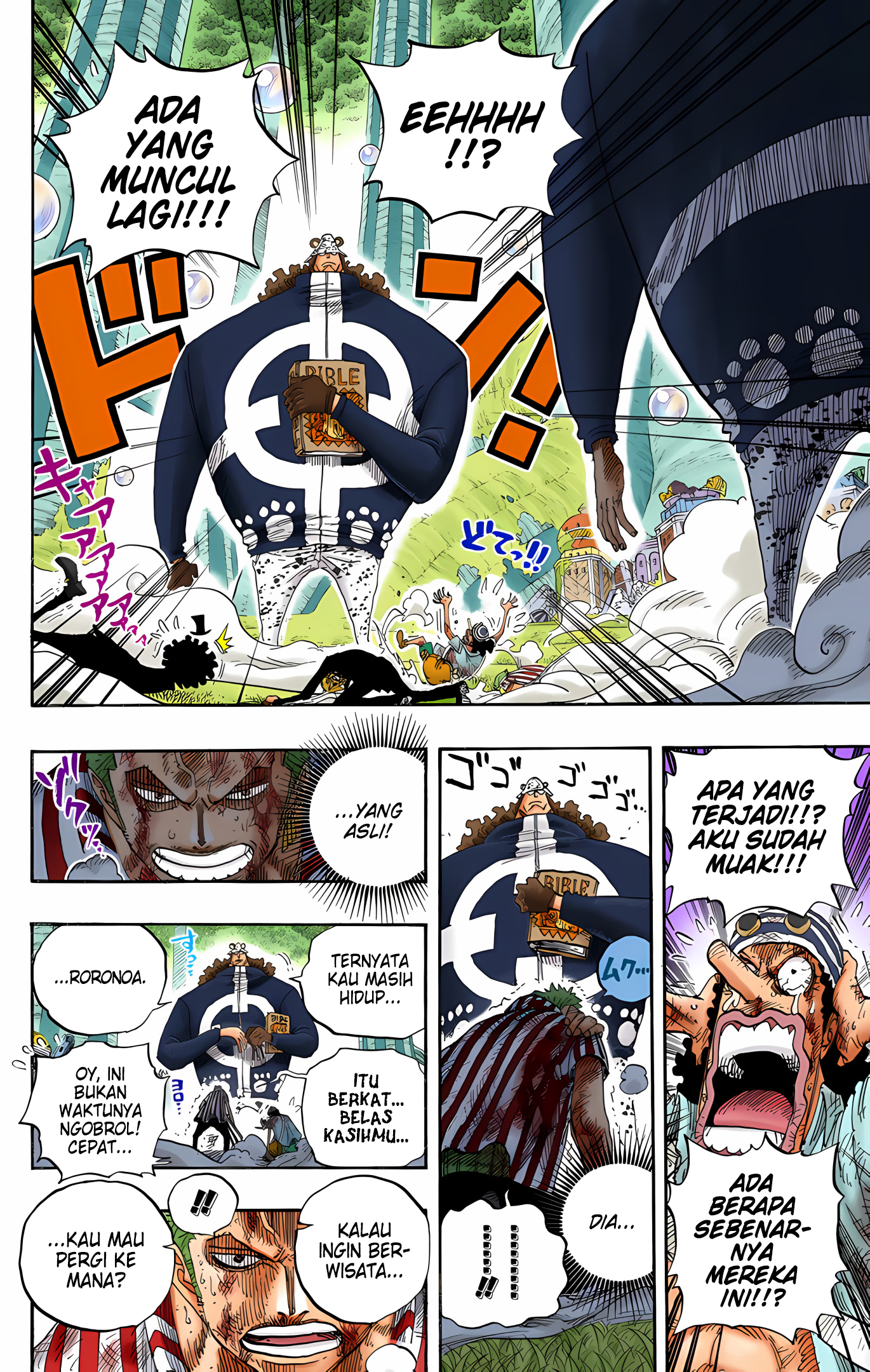 One Piece (Official Colored) Chapter 512 - halaman 17