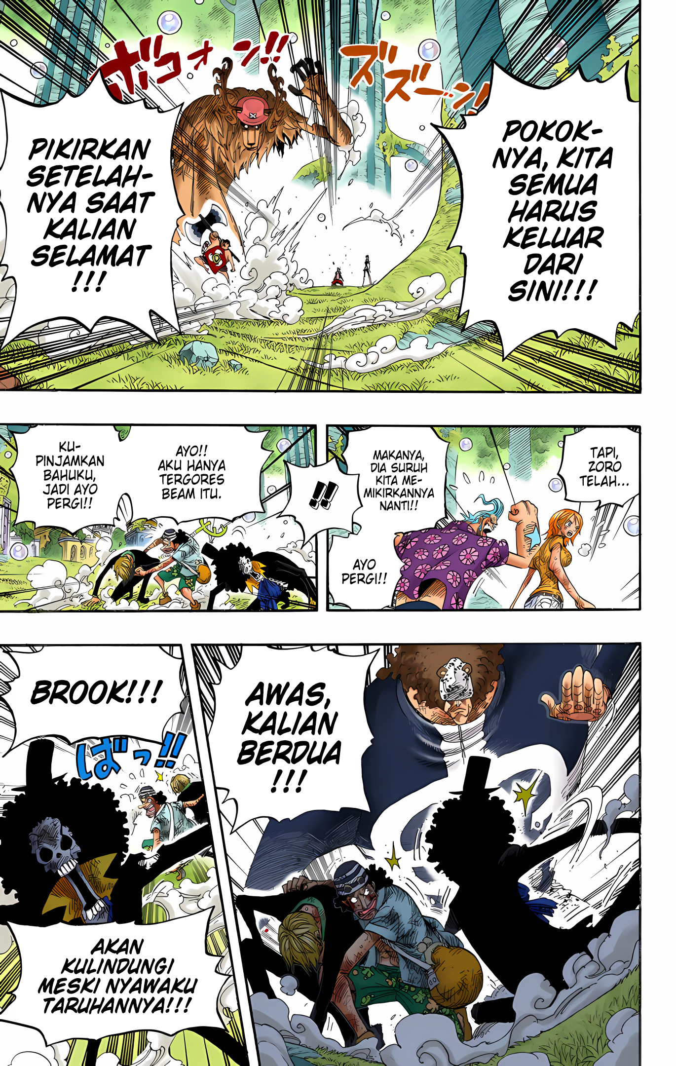 One Piece (Official Colored) Chapter 513 - halaman 10