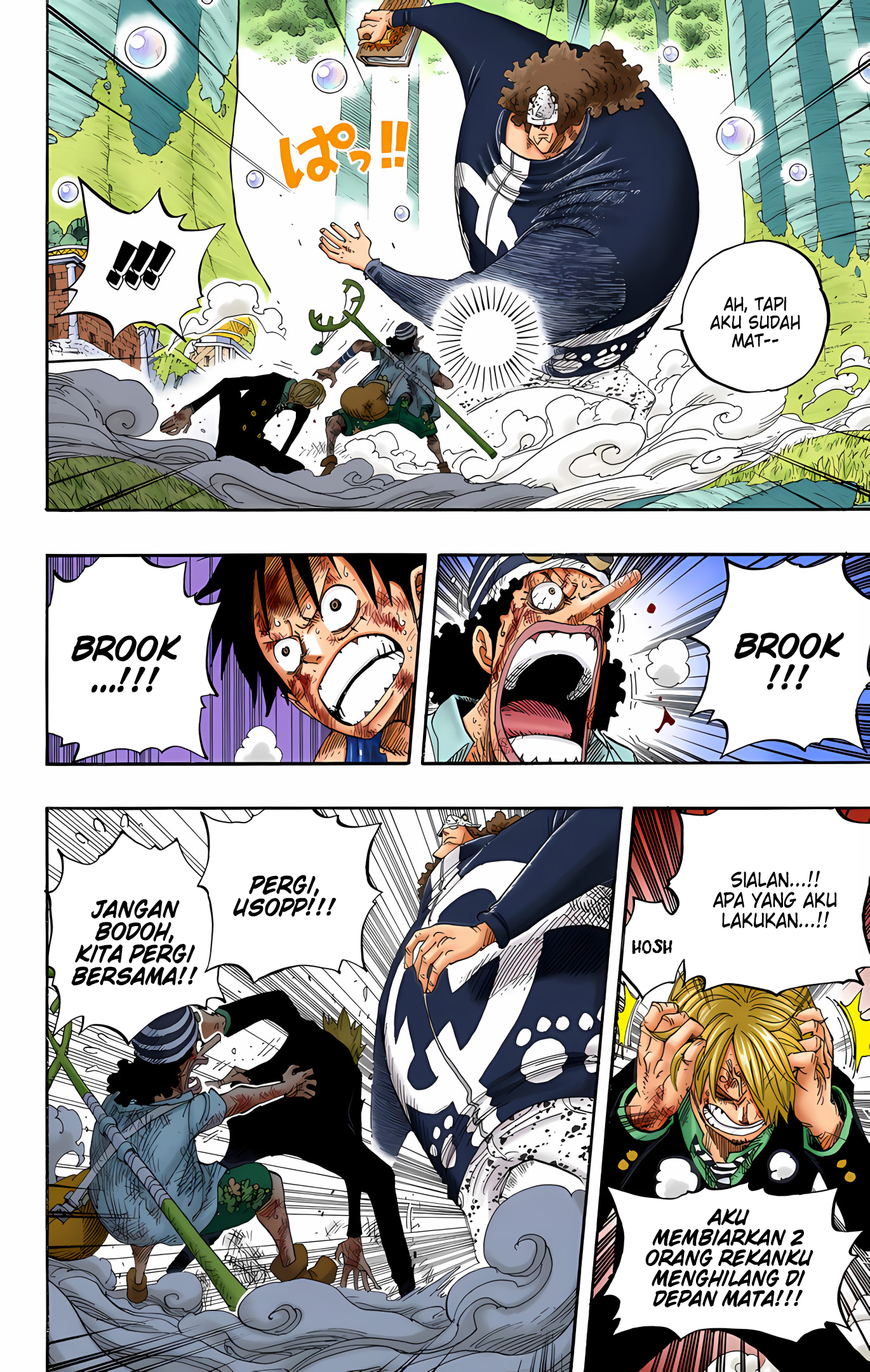 One Piece (Official Colored) Chapter 513 - halaman 11