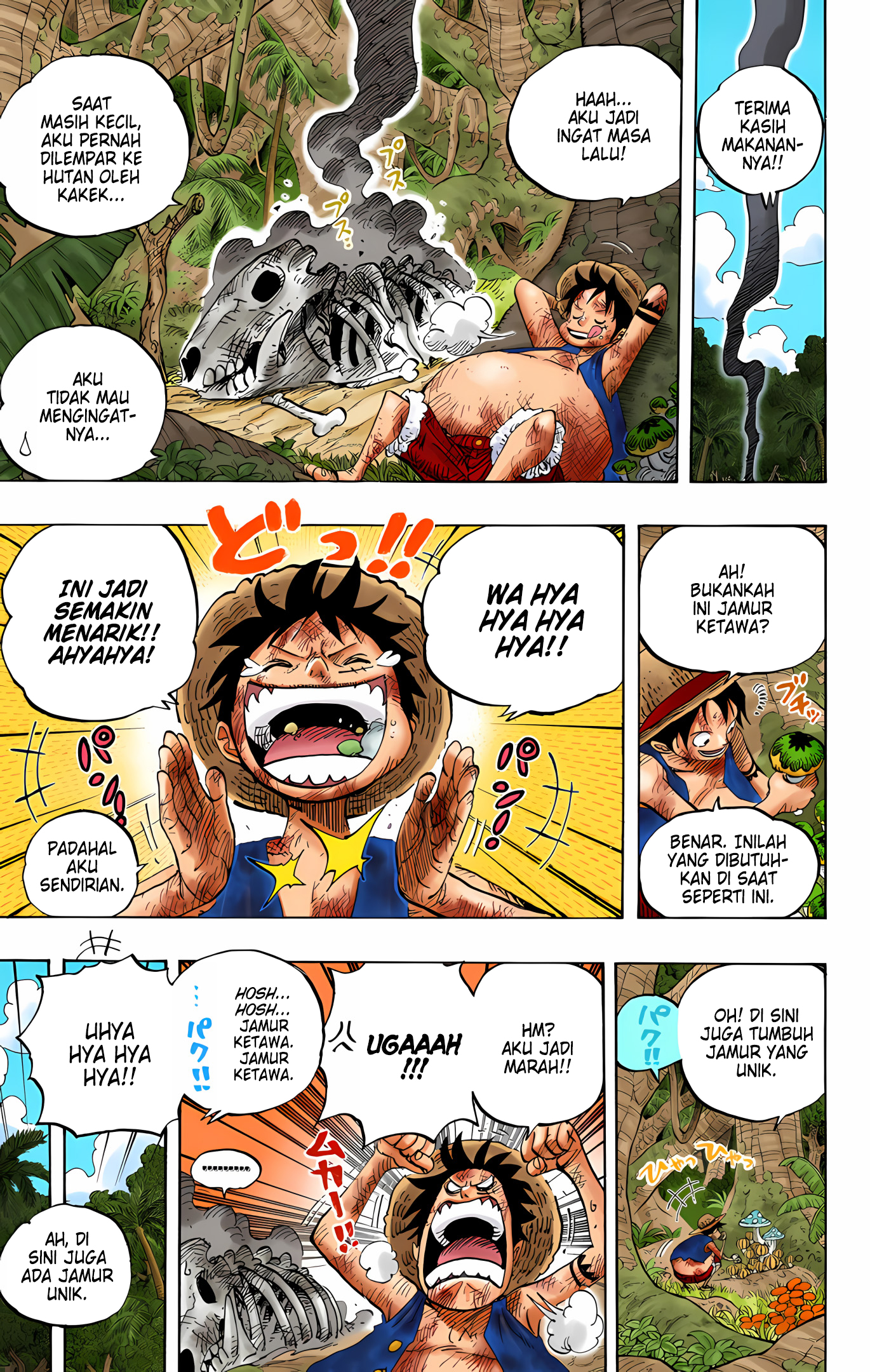 One Piece (Official Colored) Chapter 514 - halaman 12