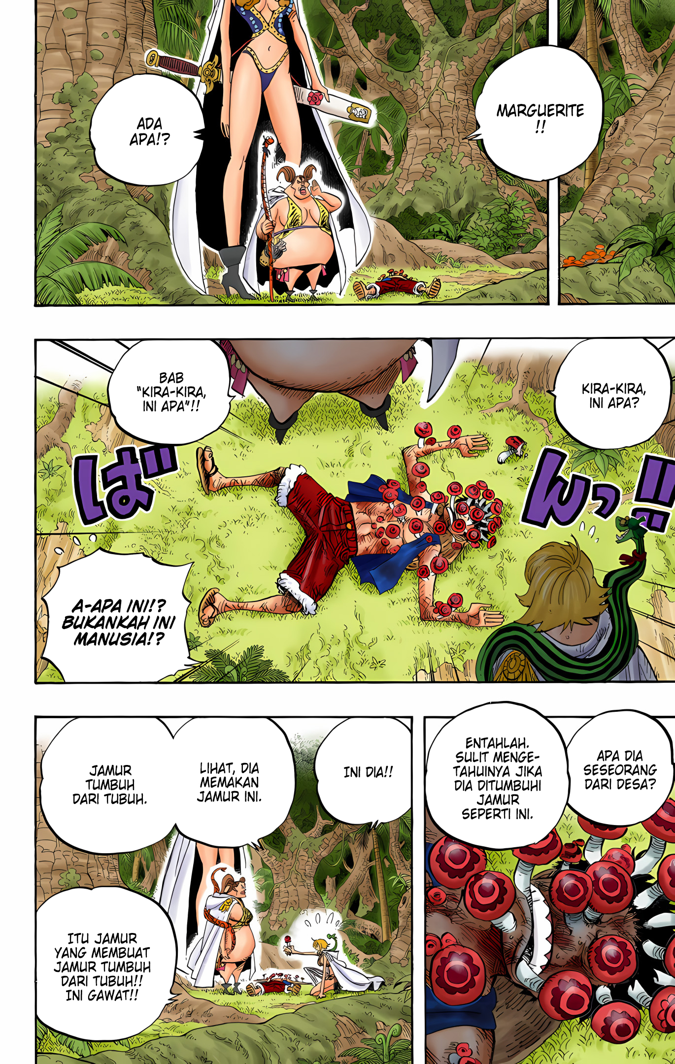 One Piece (Official Colored) Chapter 514 - halaman 13