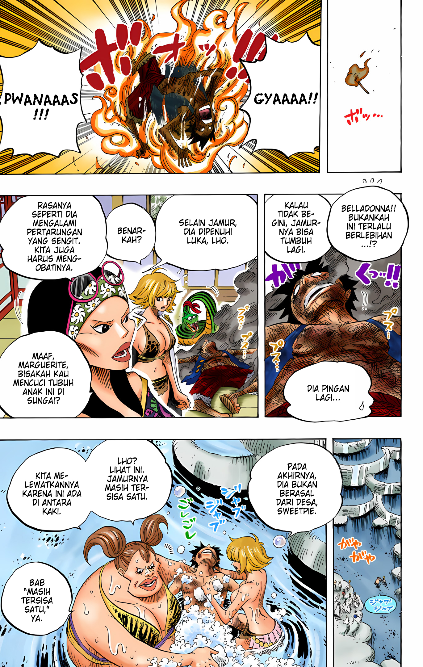 One Piece (Official Colored) Chapter 514 - halaman 16