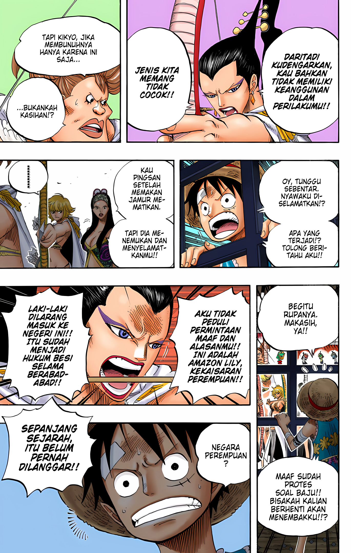 One Piece (Official Colored) Chapter 515 - halaman 10