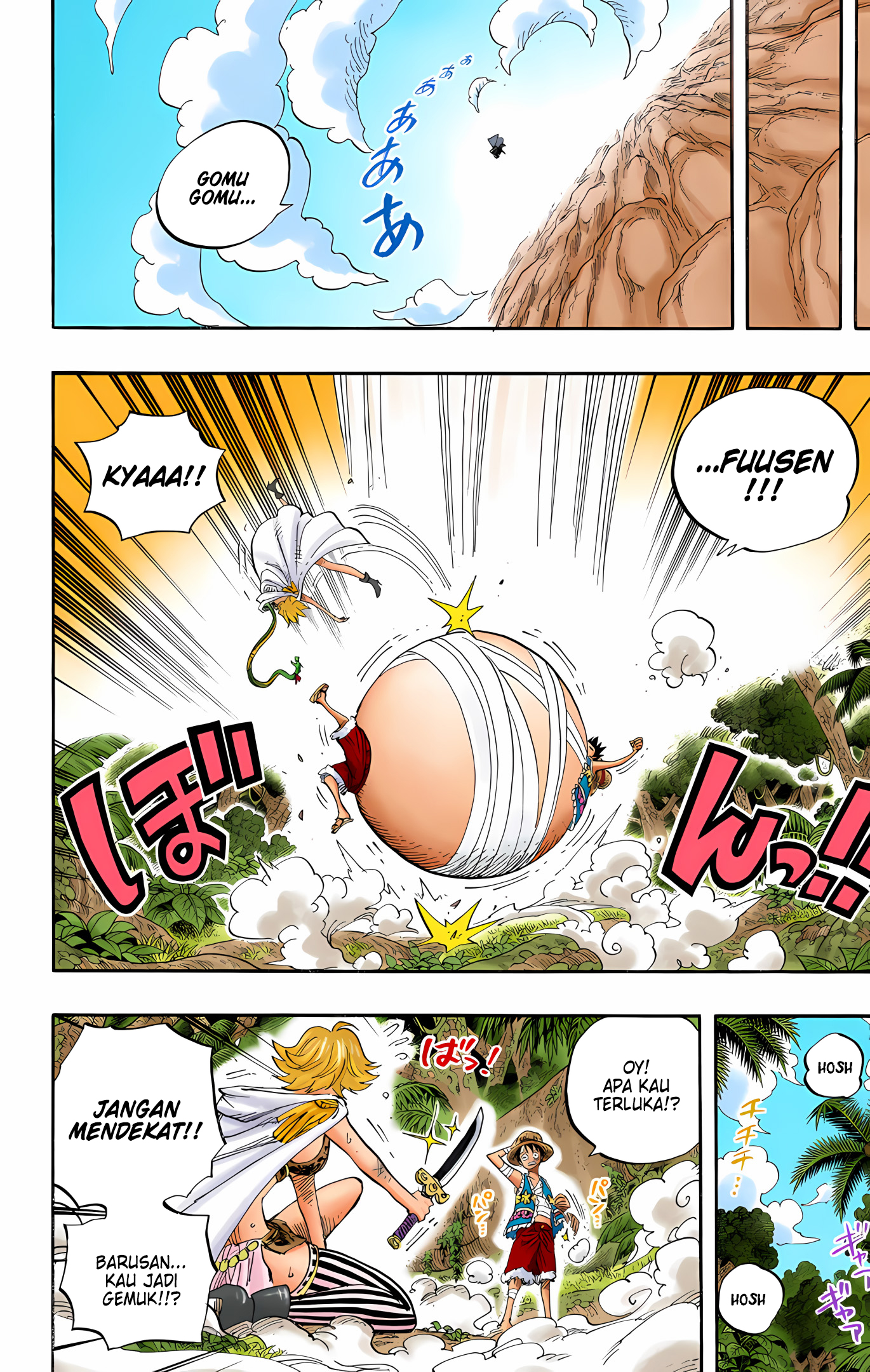 One Piece (Official Colored) Chapter 515 - halaman 15